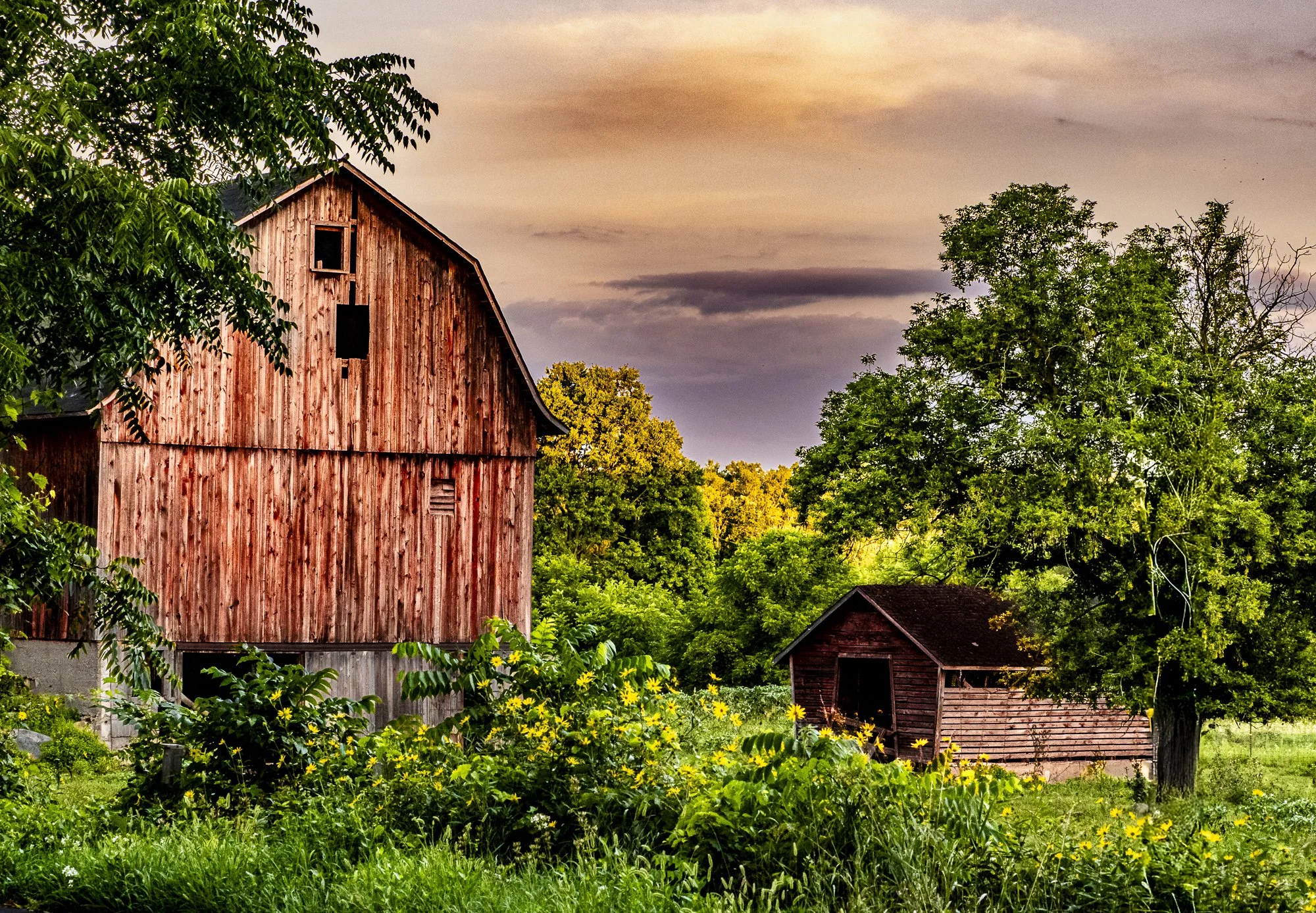 nordicbiker-square space.jpg-13.jpg