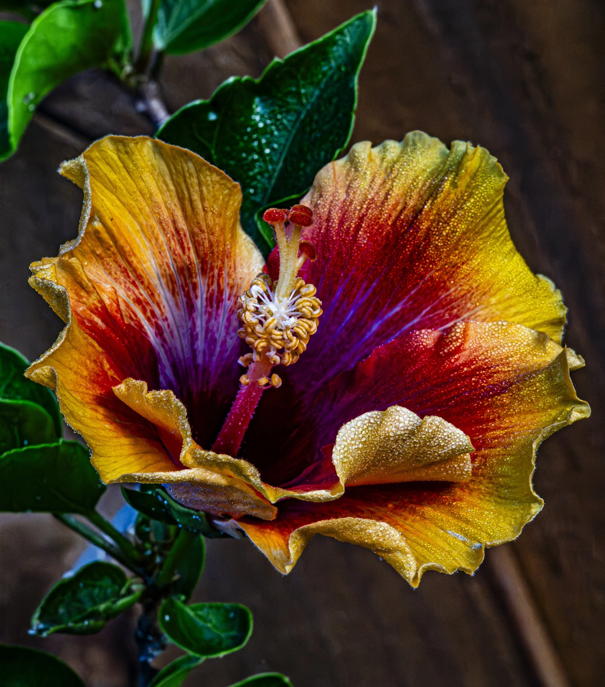 nordicbiker-square space.jpg-4.jpg