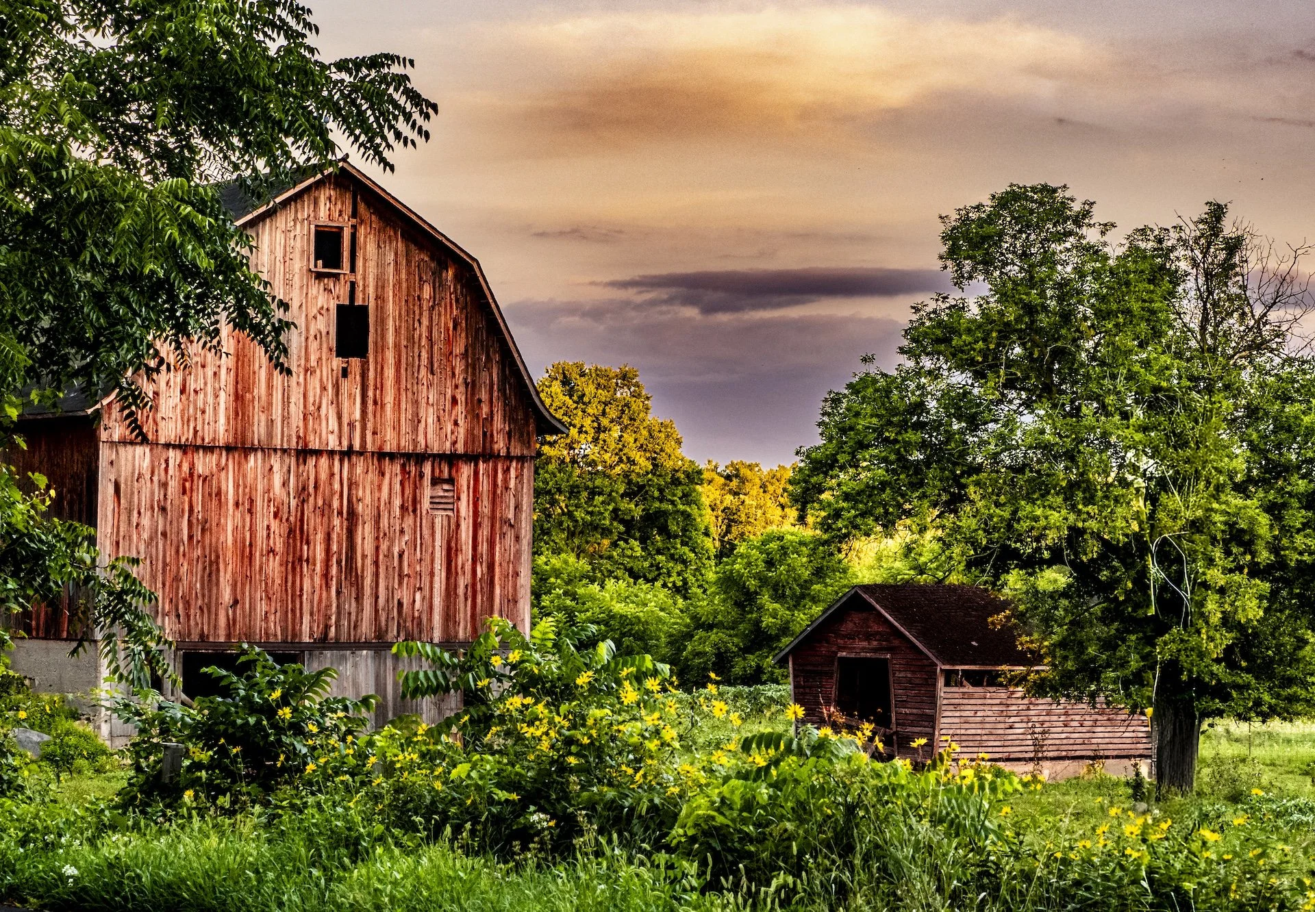 nordicbiker-square space.jpg-32.jpg