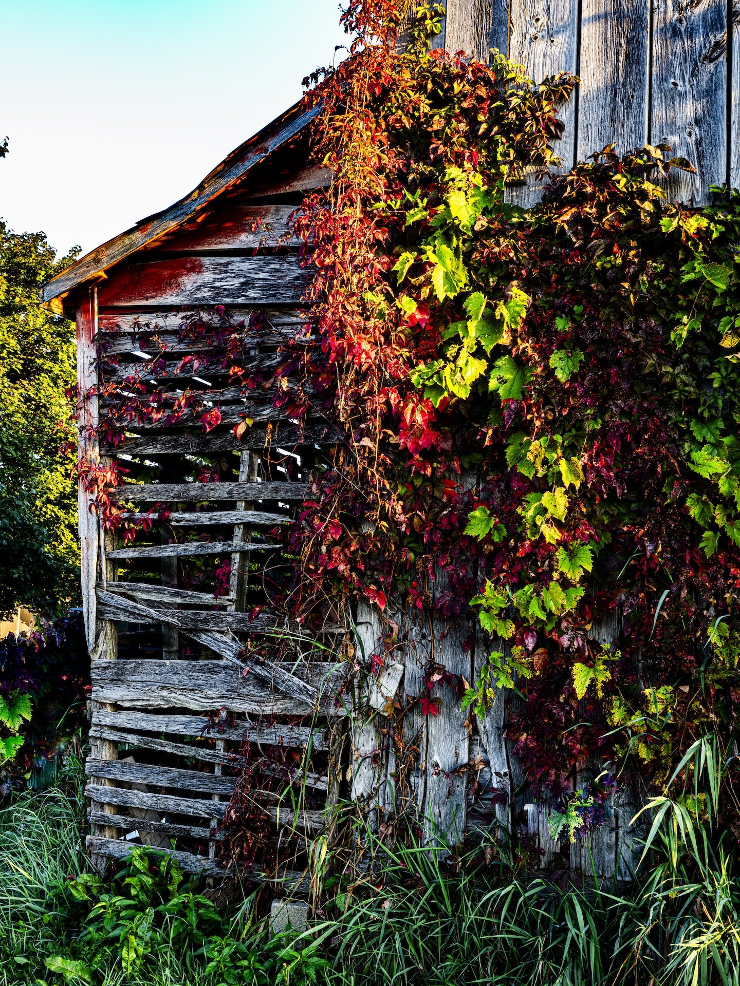 nordicbiker-square space.jpg-16.jpg