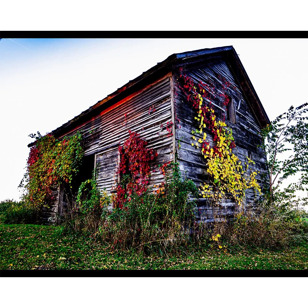 4x5 Just Before Sundown.jpg
