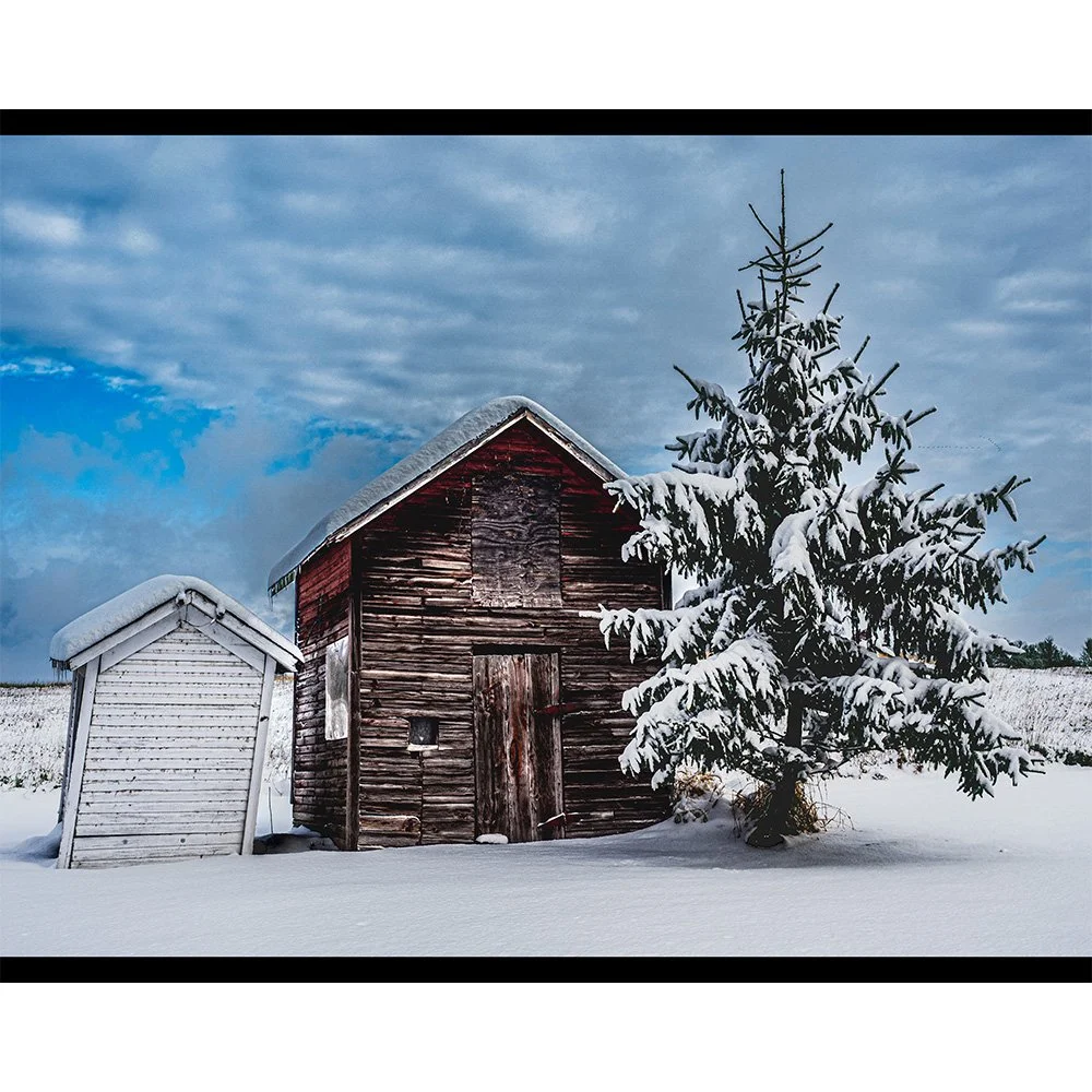 4x5 Winterscape.jpg