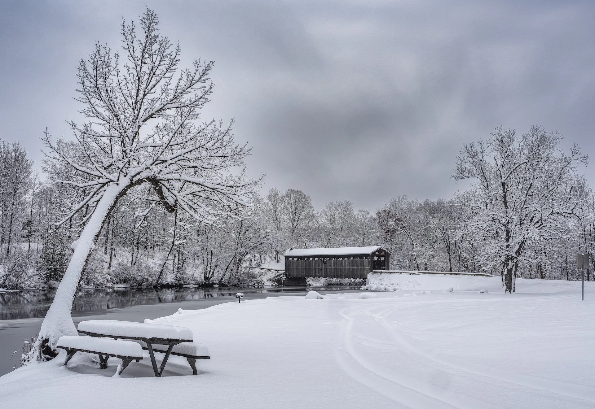 nordicbiker-square space.jpg-64.jpg