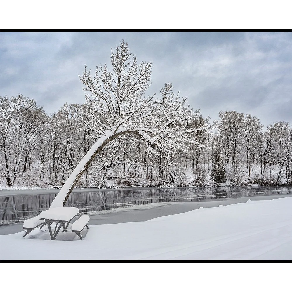 4x5 Winter Picnic.jpg