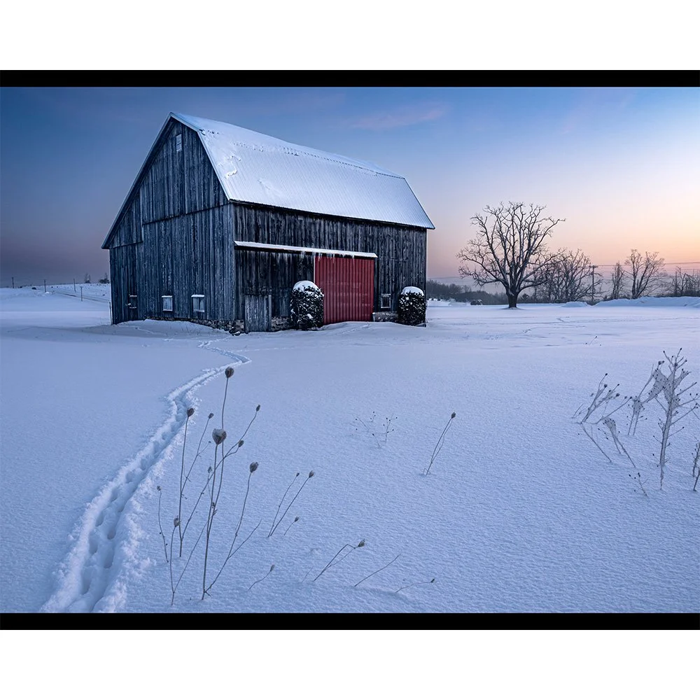 4x5 Deer Tracks to the Barn.jpg