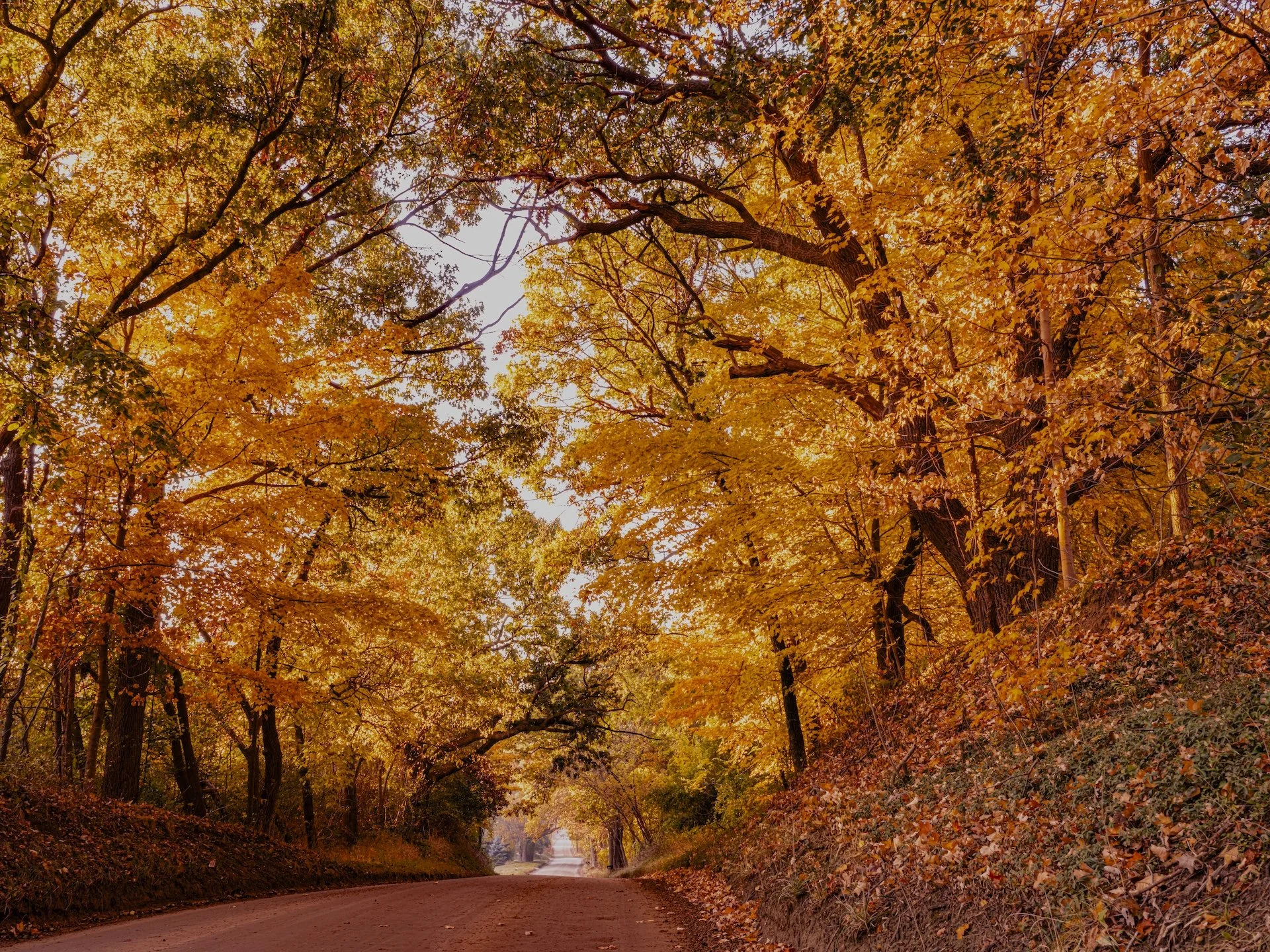 nordicbiker-square space.jpg-22.jpg