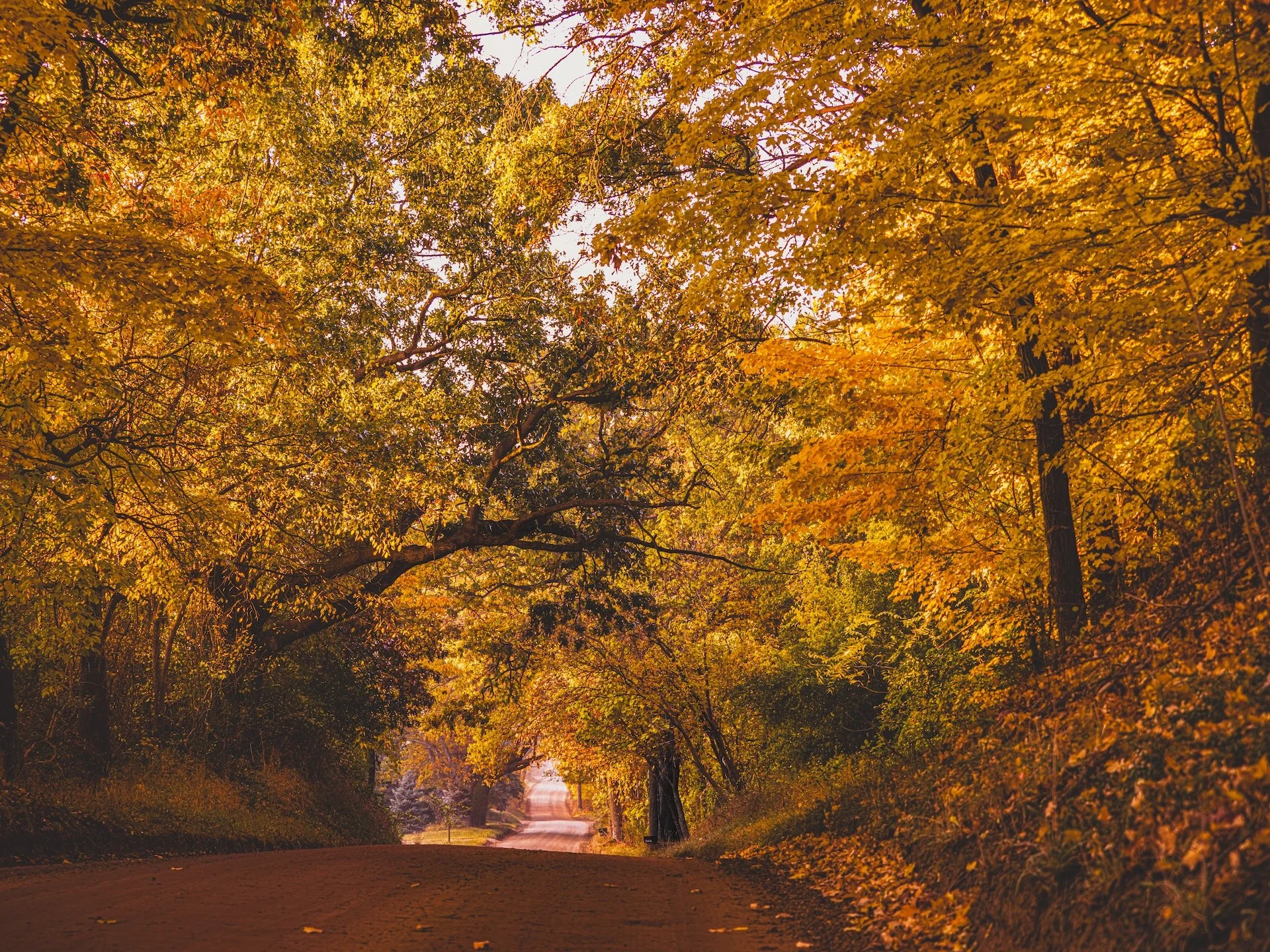 nordicbiker-square space.jpg-82.jpg