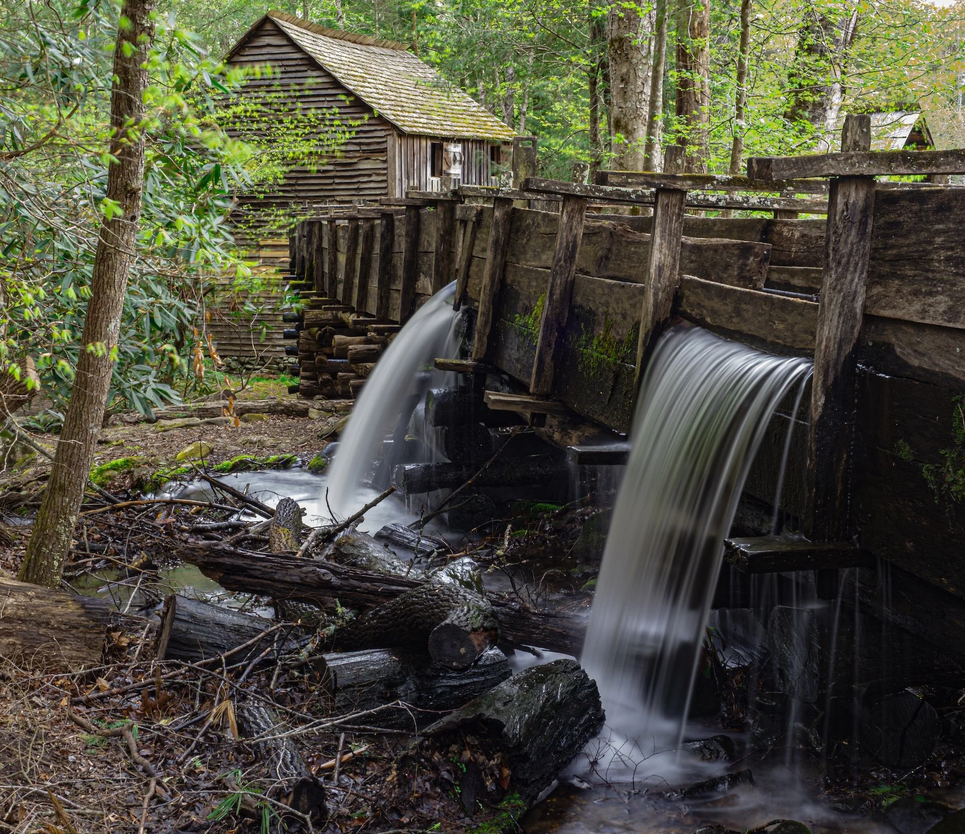 nordicbiker-square space.jpg-40.jpg