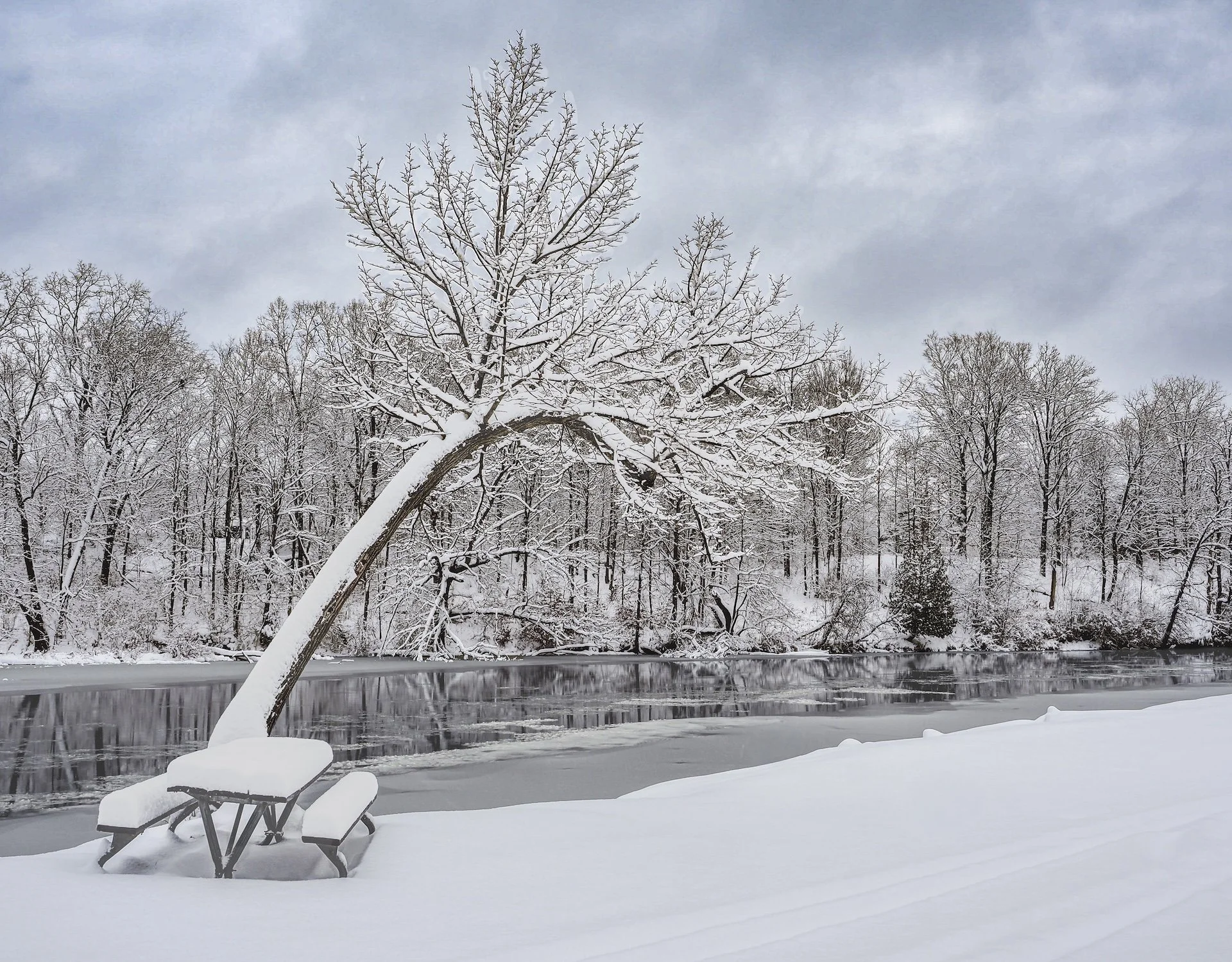 nordicbiker-square space.jpg-65.jpg