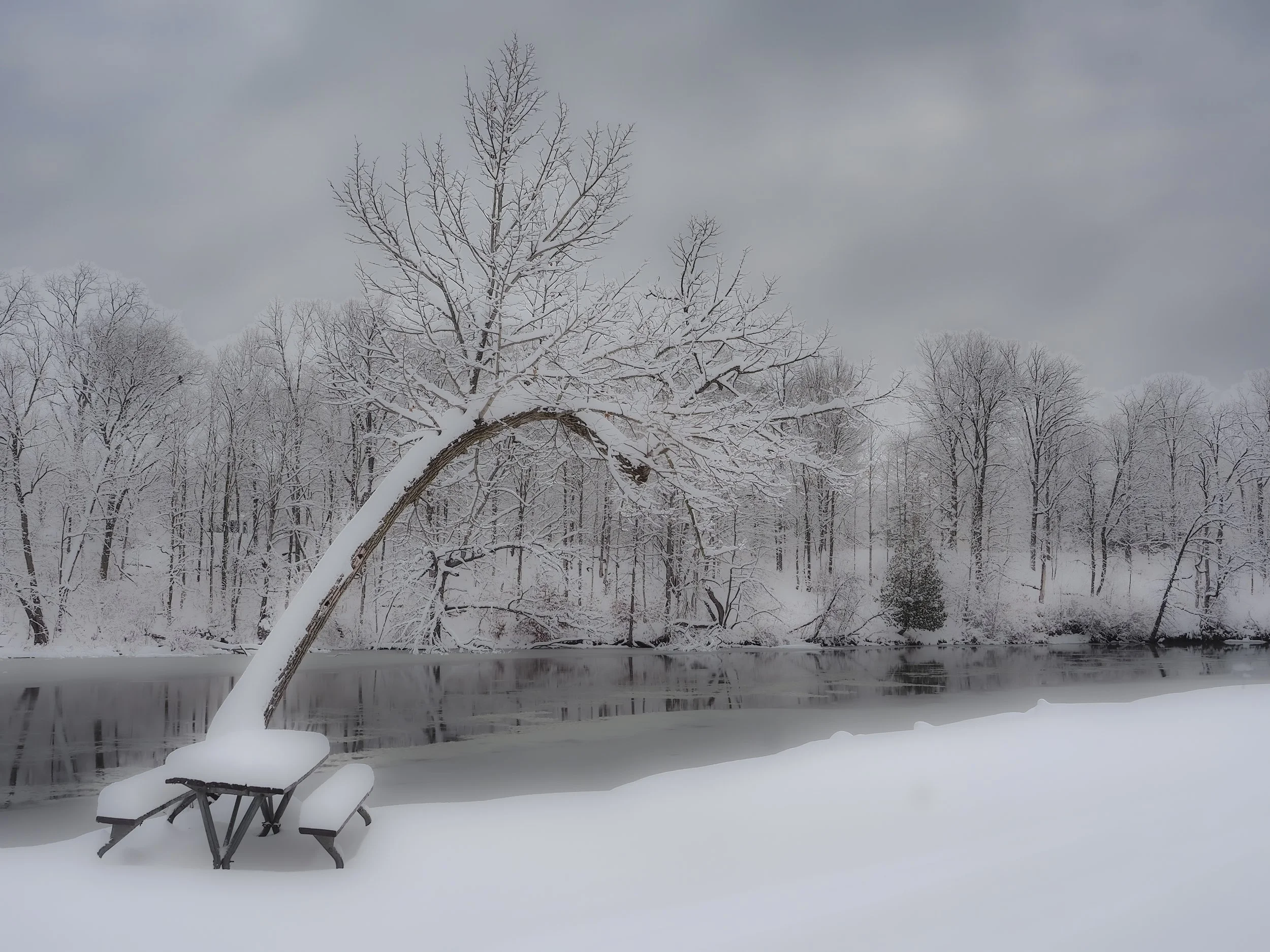 Trees Without Contrast