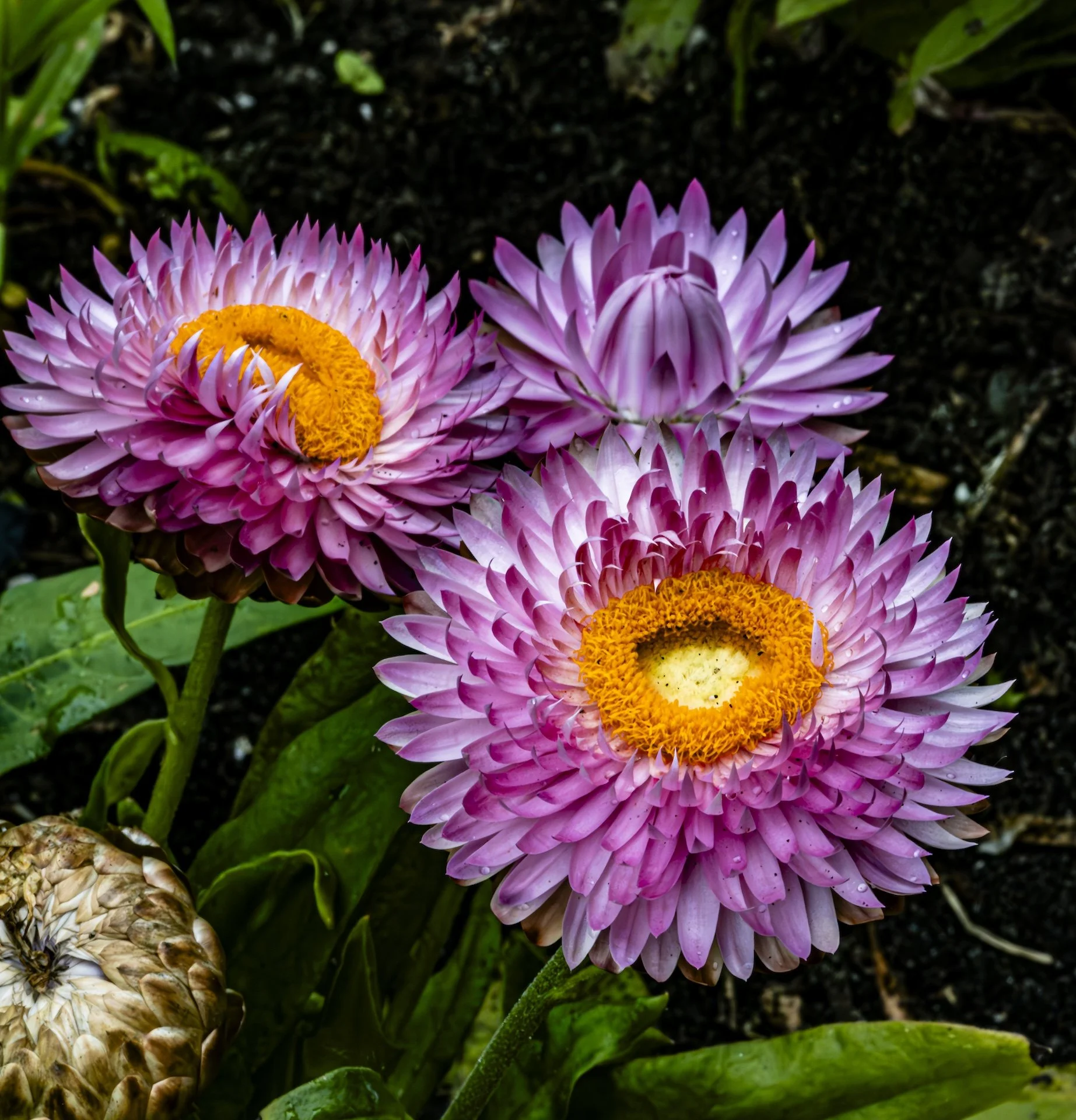 nordicbiker-square space.jpg-57.jpg