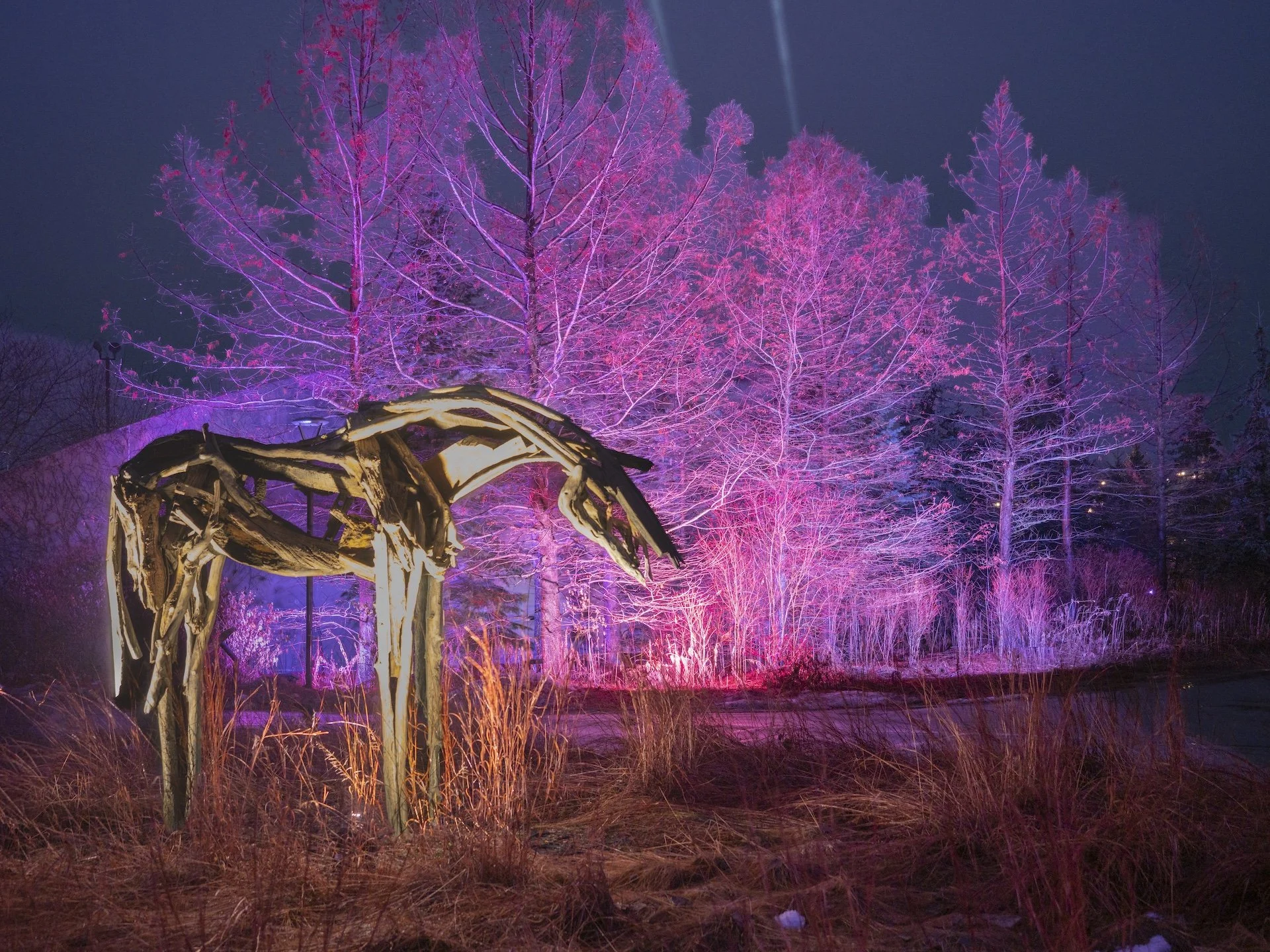 nordicbiker-square space.jpg-67.jpg