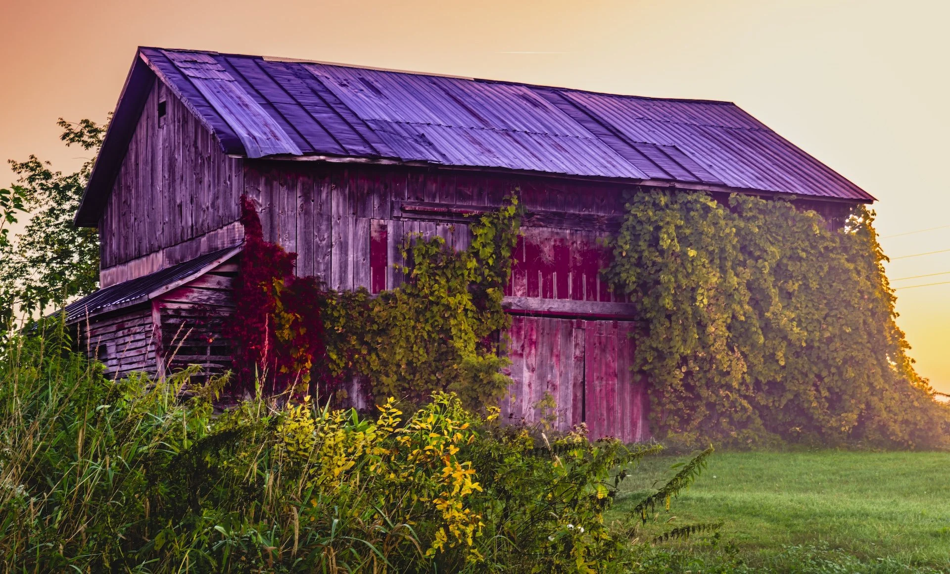 nordicbiker-square space.jpg-15.jpg