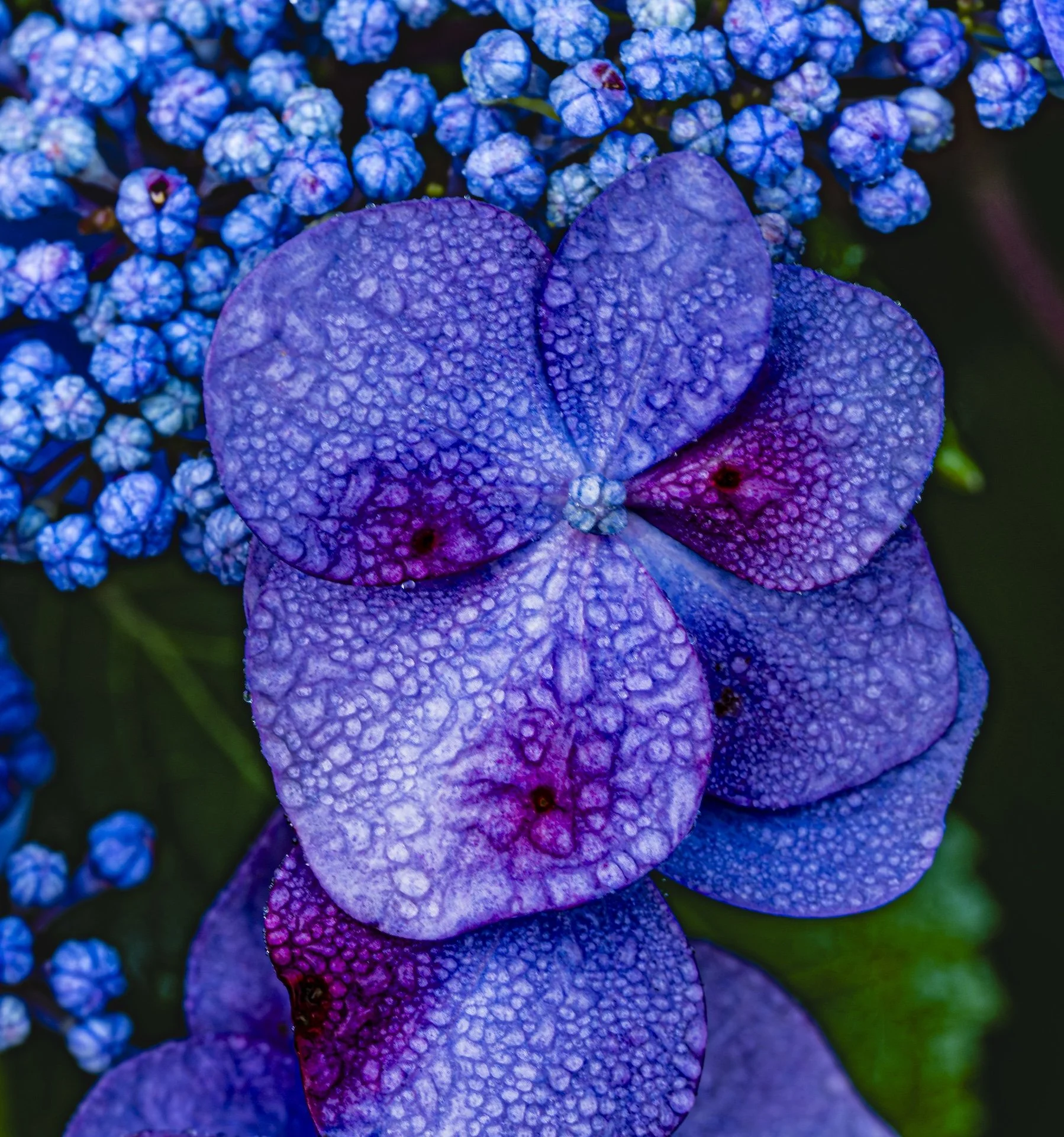 nordicbiker-square space.jpg-71.jpg