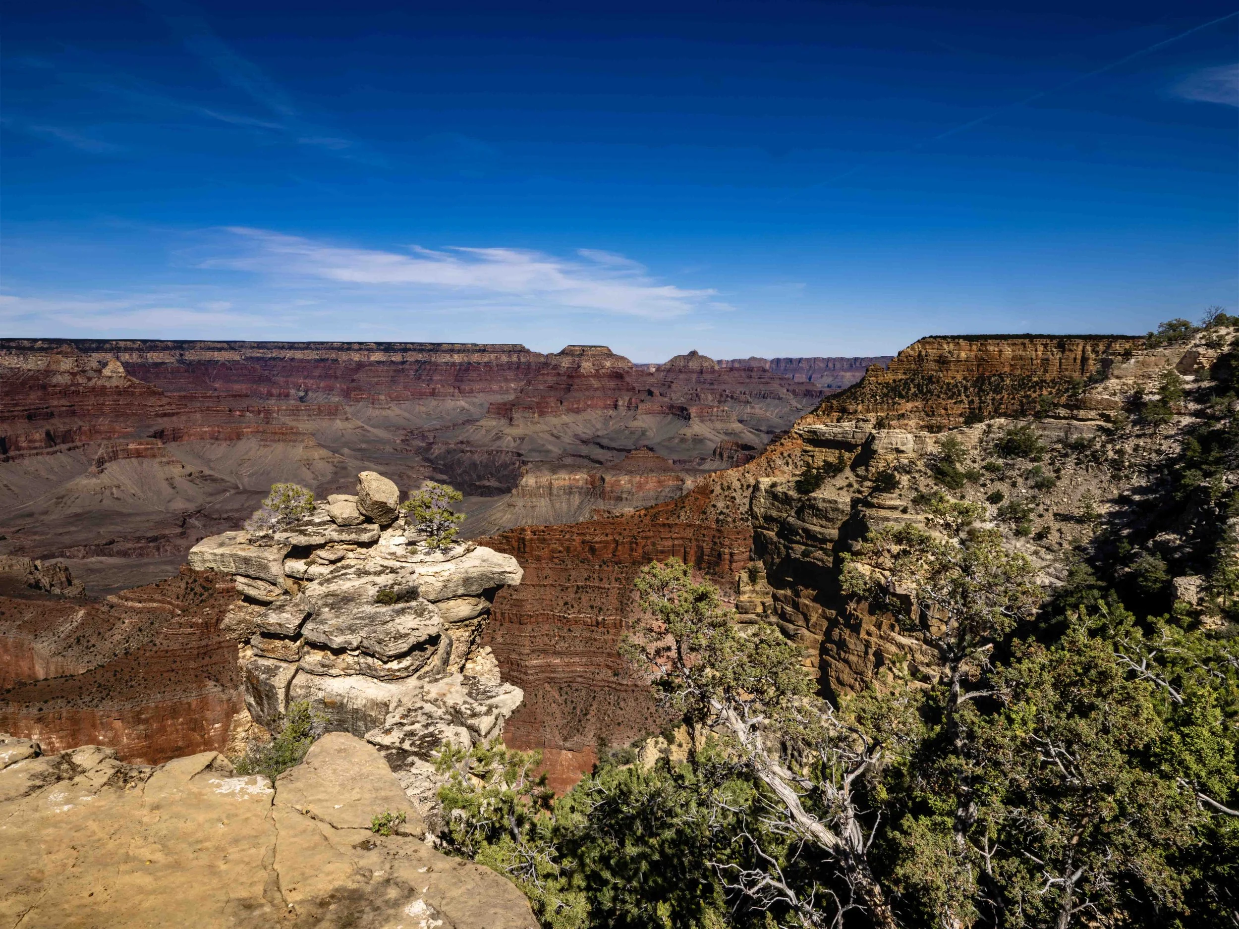 South Rim Grand Canyon 1