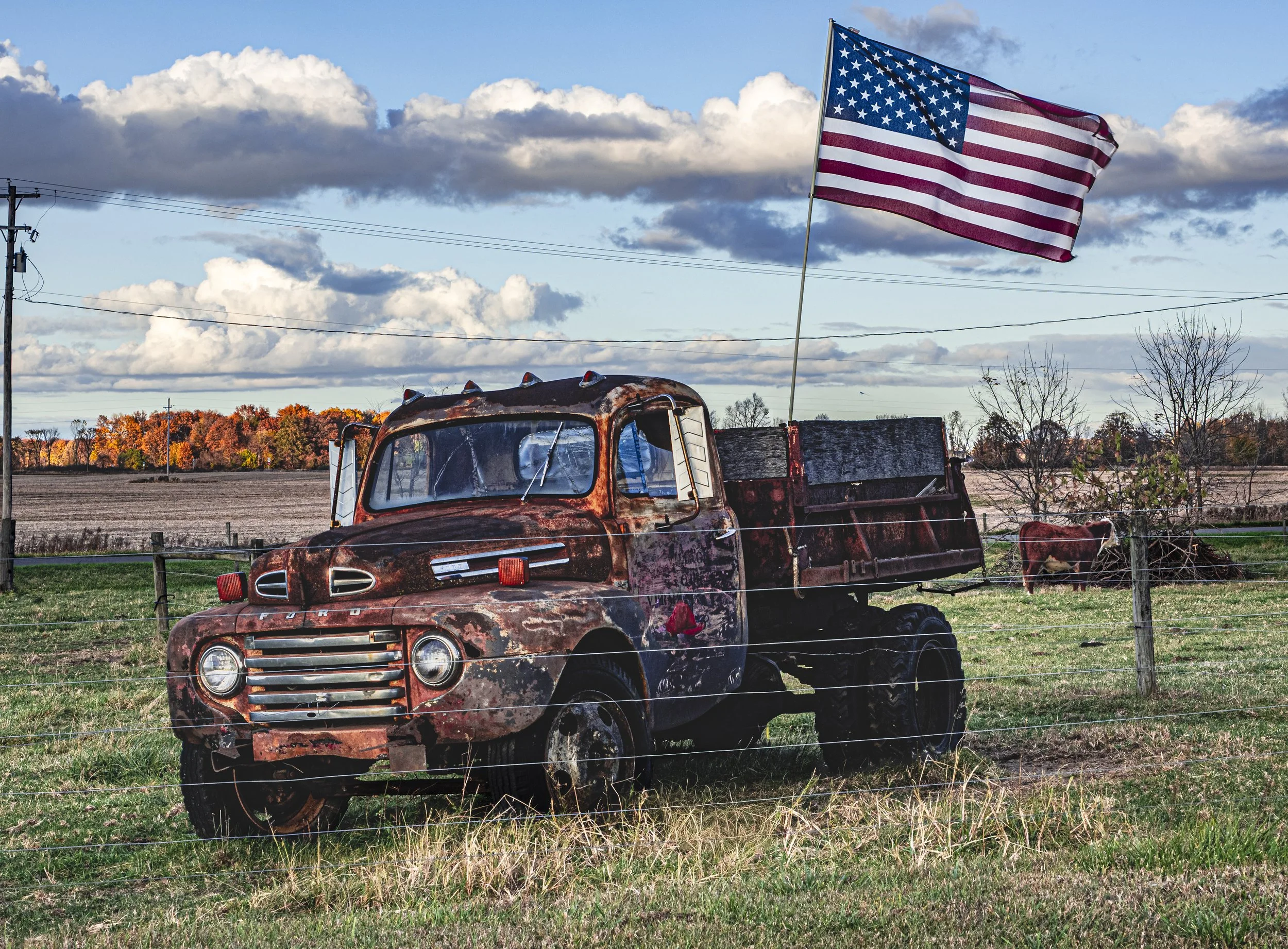 The Flag Flies