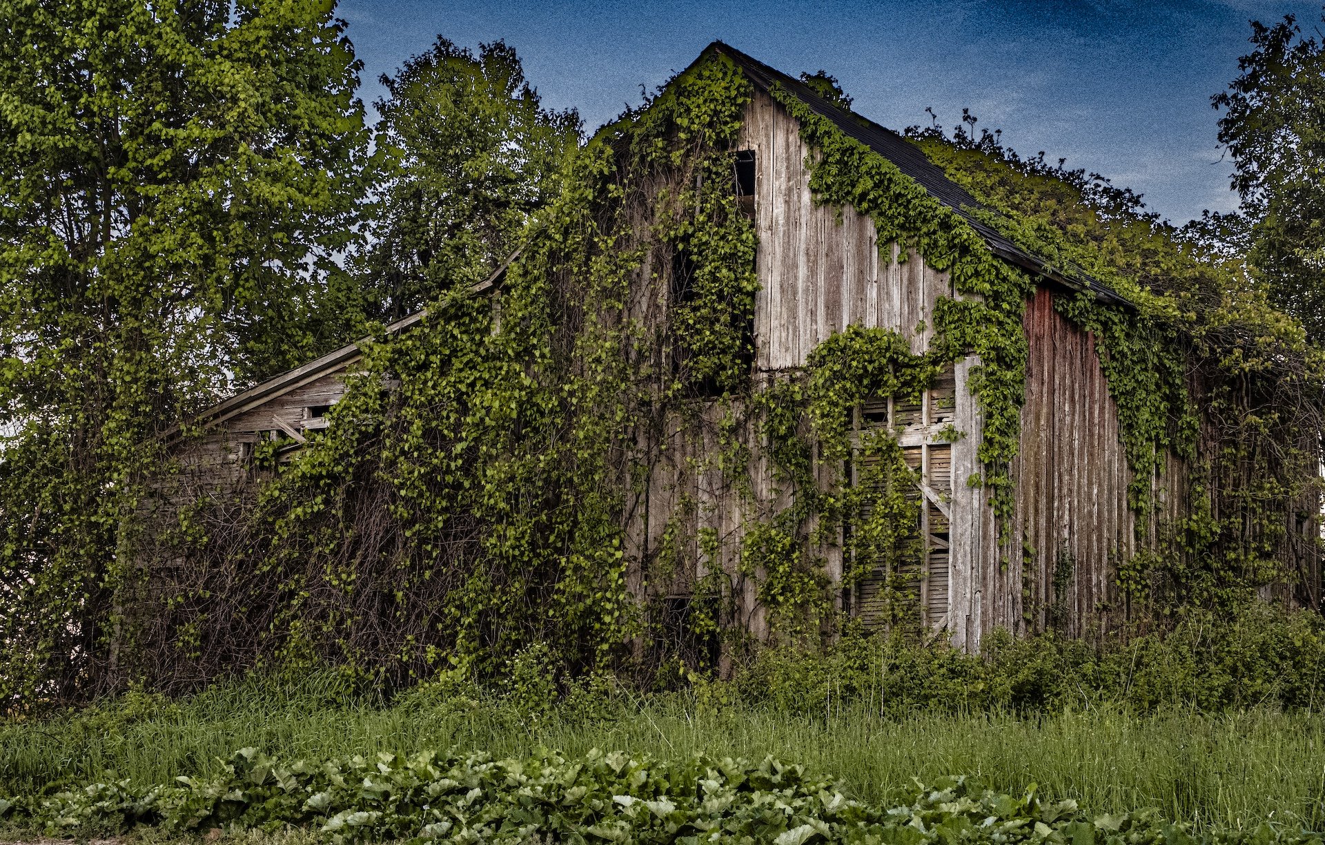 nordicbiker-square space.jpg-54.jpg