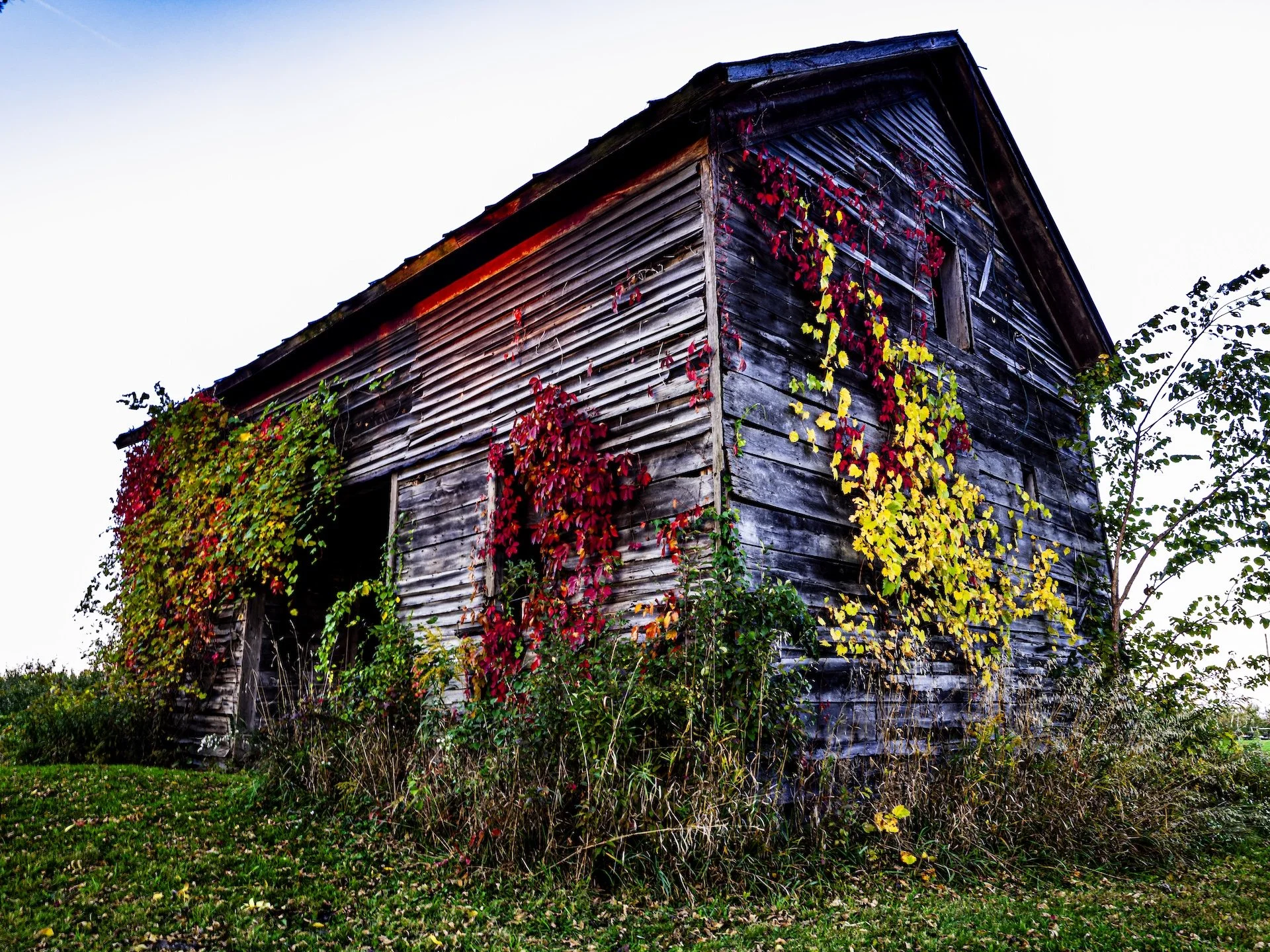 nordicbiker-square space.jpg-29.jpg