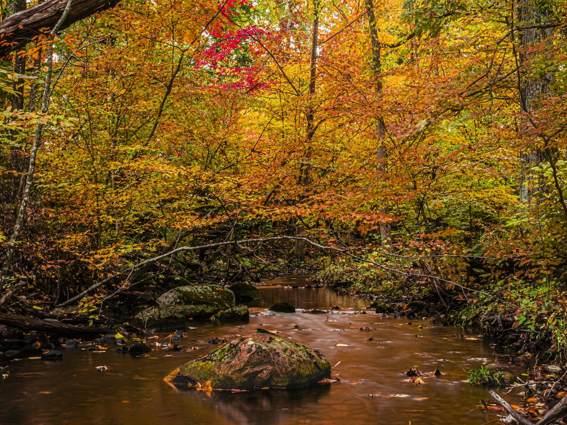 nordicbiker-square space.jpg-35.jpg