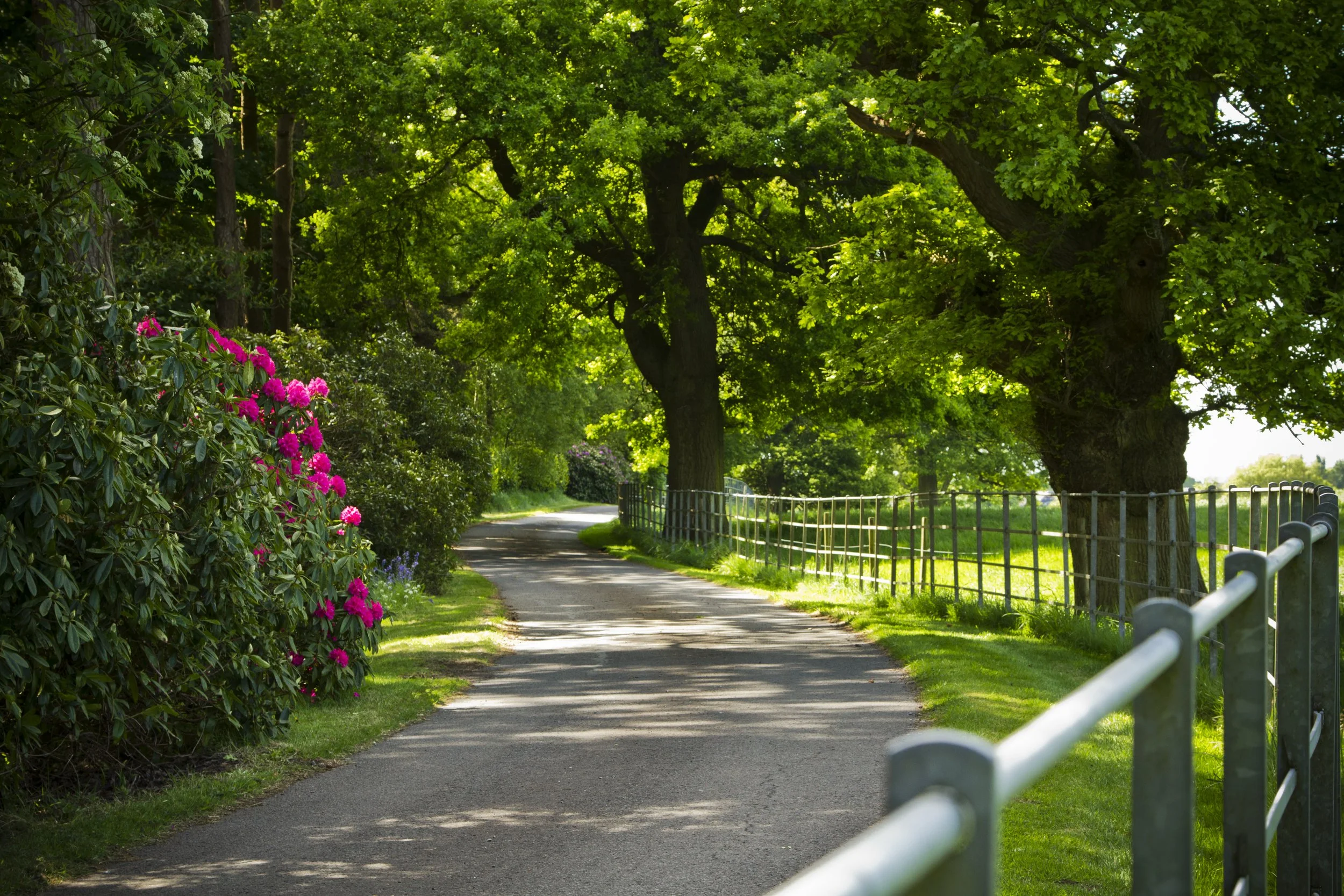 An invitation to spend time in nature