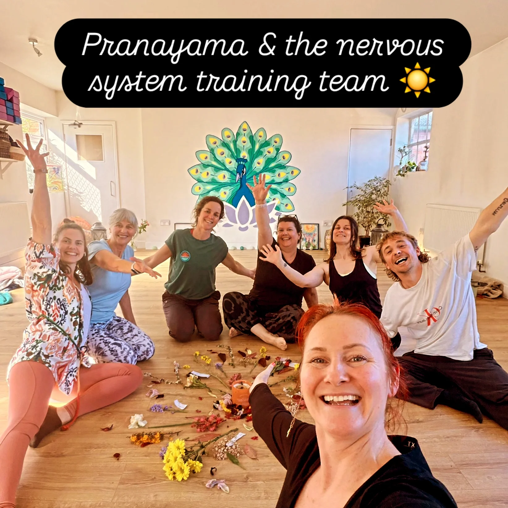 Pranayama and Nervous System Training