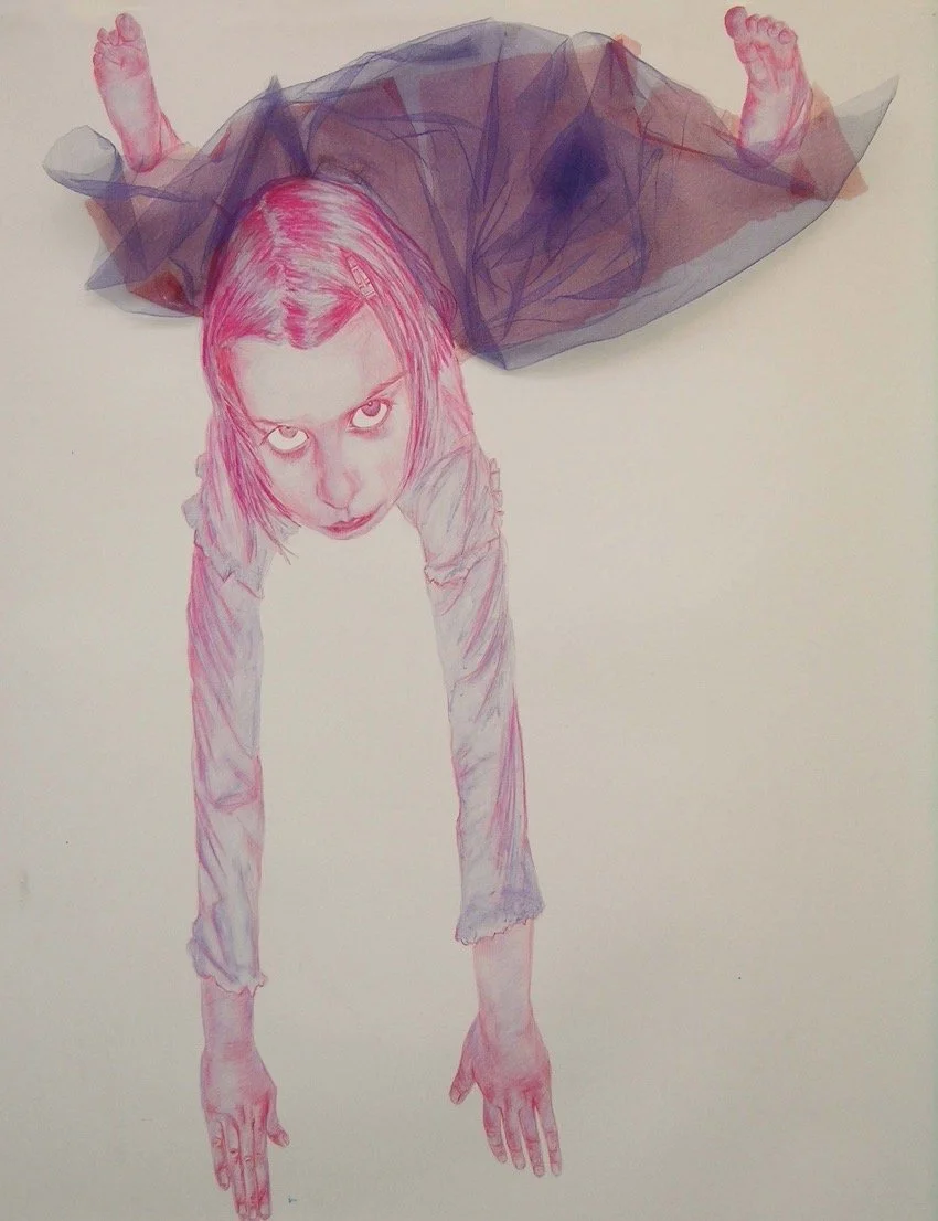 See How They Run,
2004,
pastel and fabric on paper,
110cm x 235cm