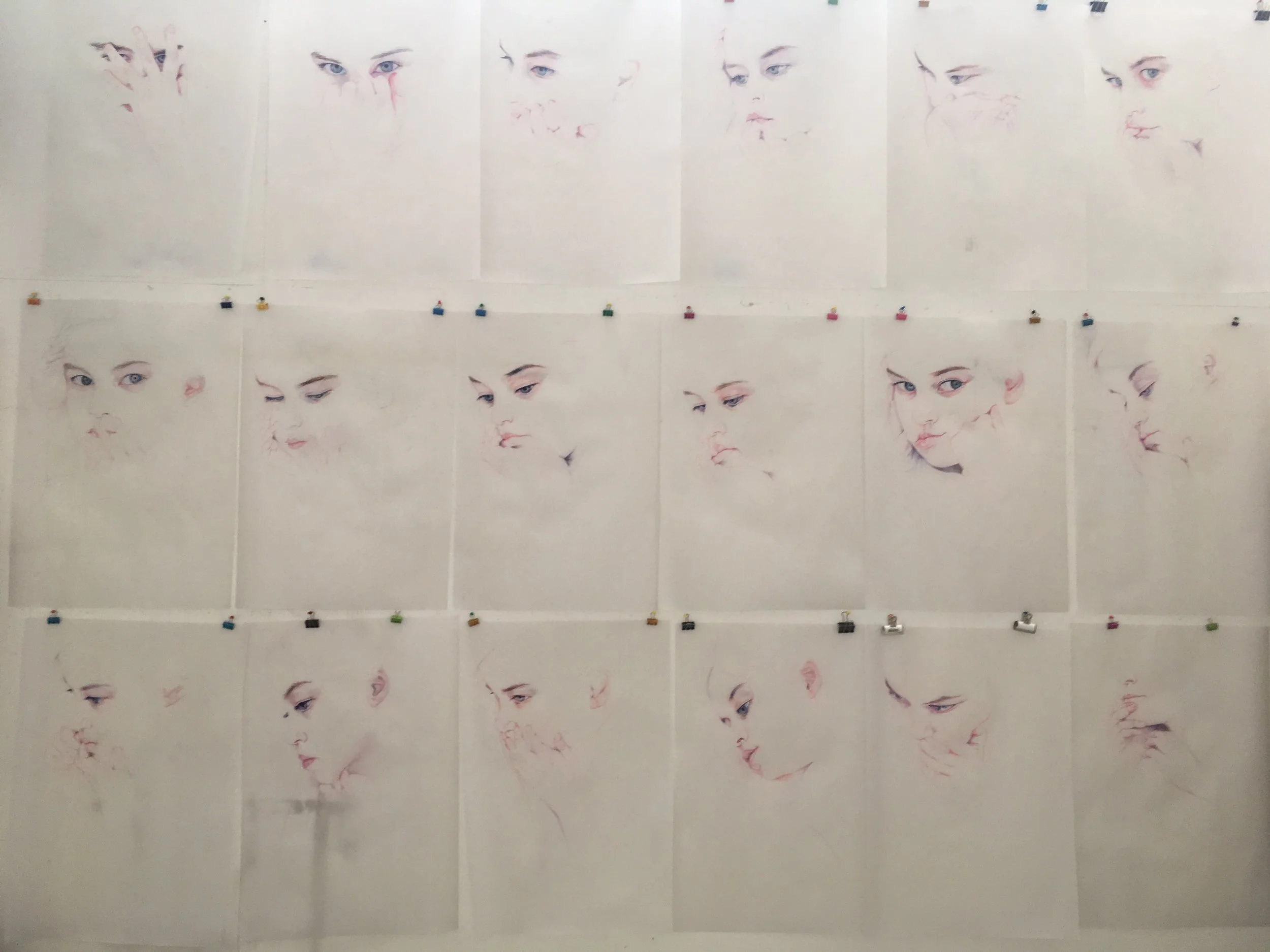 Spookfish,
2017,
pastel and indelible ink on translucent paper,
Series of 72 drawings,
Each 100cm x 70cm