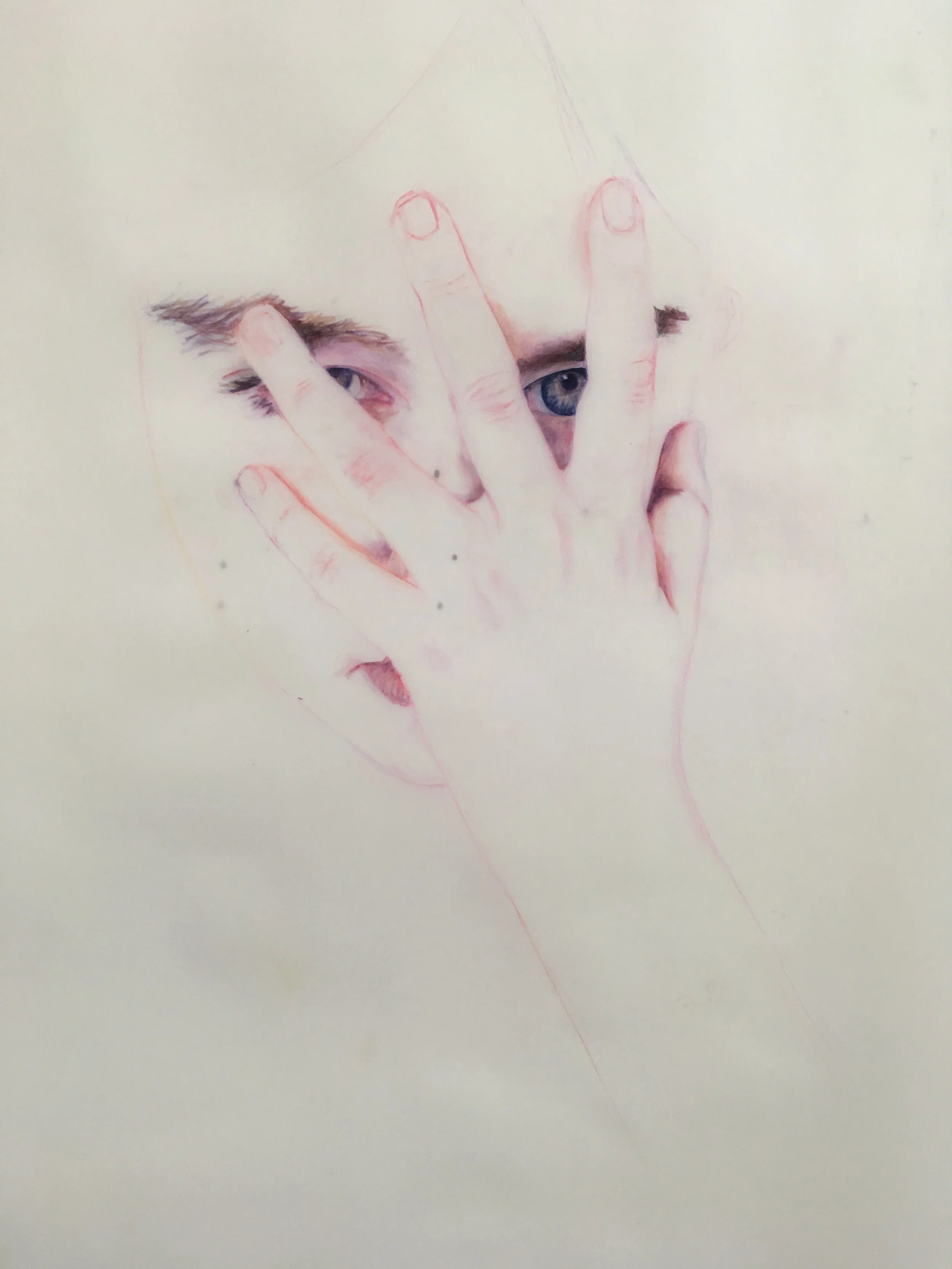 Spookfish,
2017,
pastel and indelible ink on translucent paper,
Series of 72 drawings,
Each 100cm x 70cm