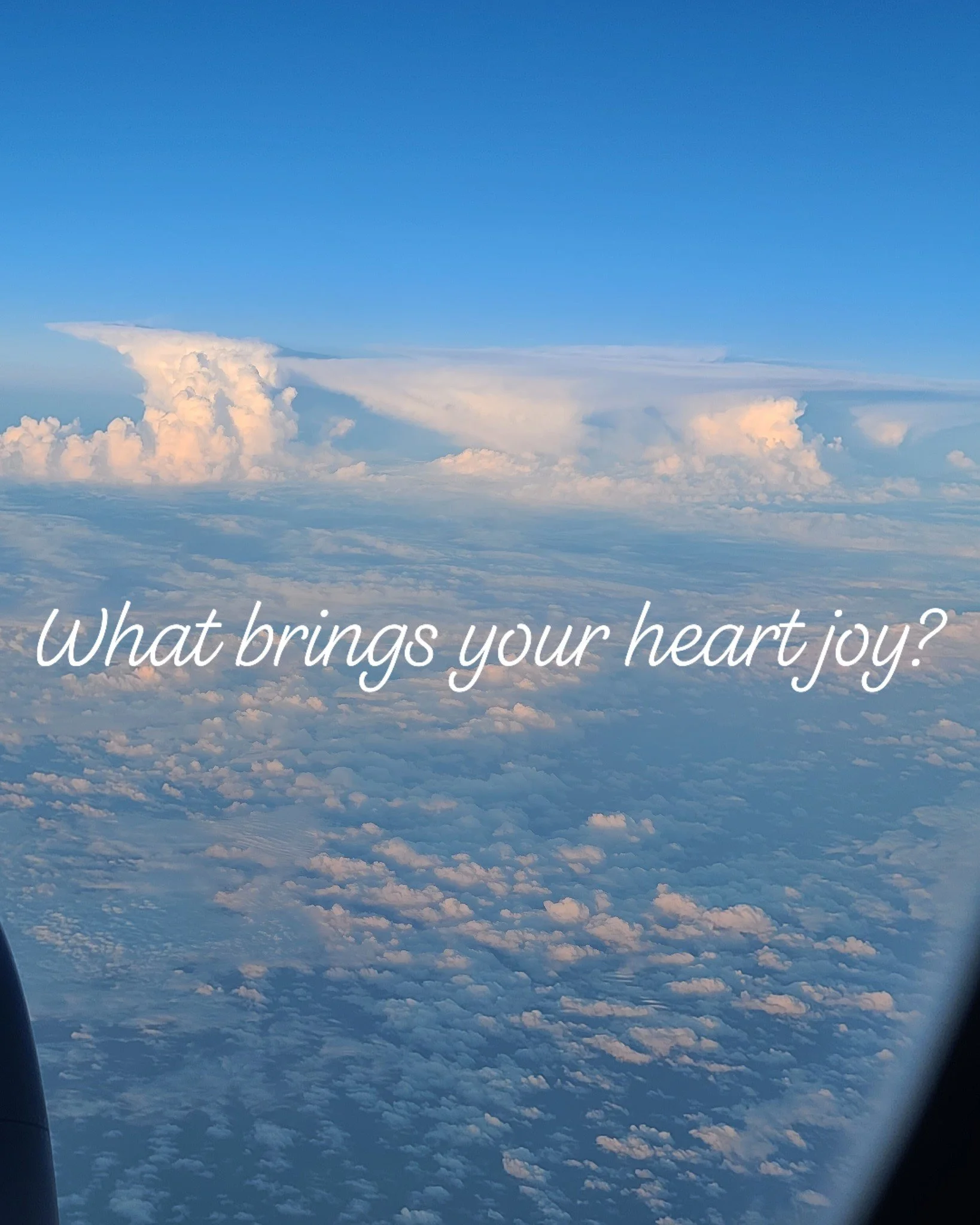 Tell me, what brings your (neurodivergent) heart joy?