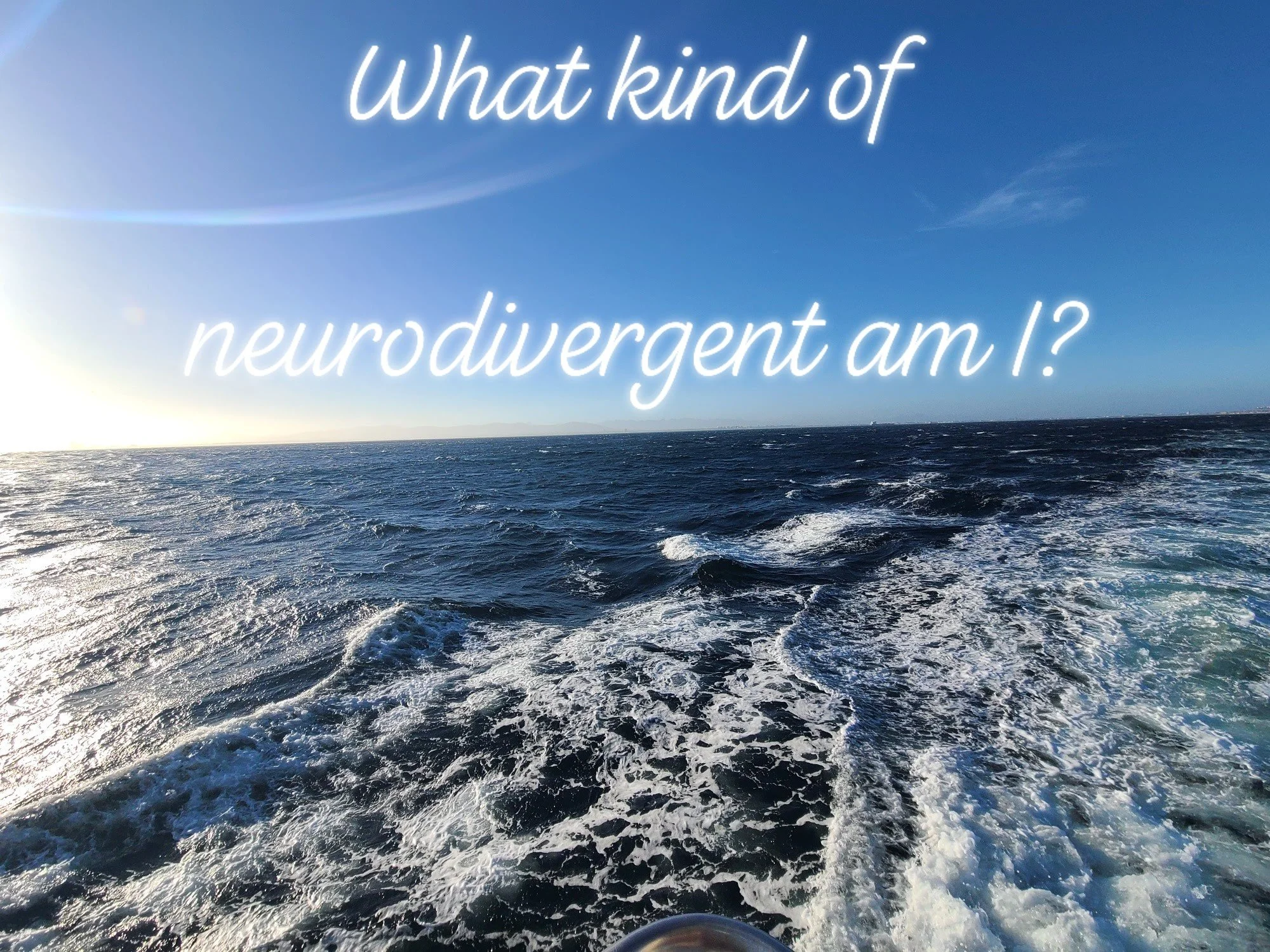 What kind of autistic/neurodivergent am I?

This is an odd question where we are asked to define ourselves by one thing or even just a few things and limit our abilities, interests, and humanity. 

We can be many things and have many preferences all 