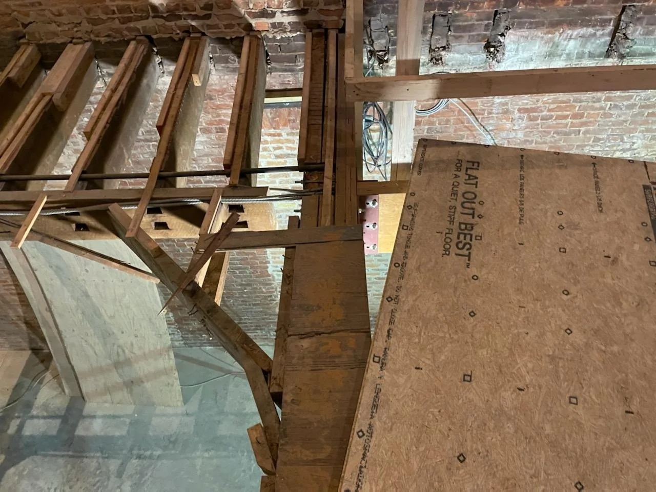 6-AGAVE PROGRESS (57).jpg