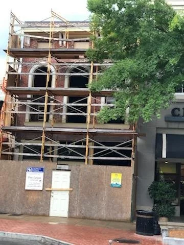 6-AGAVE PROGRESS (15).jpg