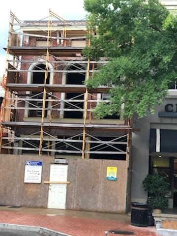 6-AGAVE PROGRESS (47).jpg