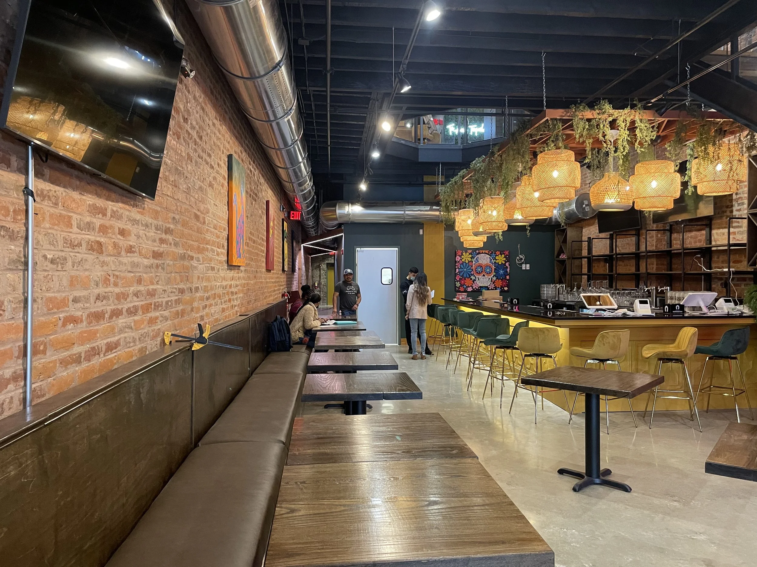 6-AGAVE PROGRESS (64).JPG