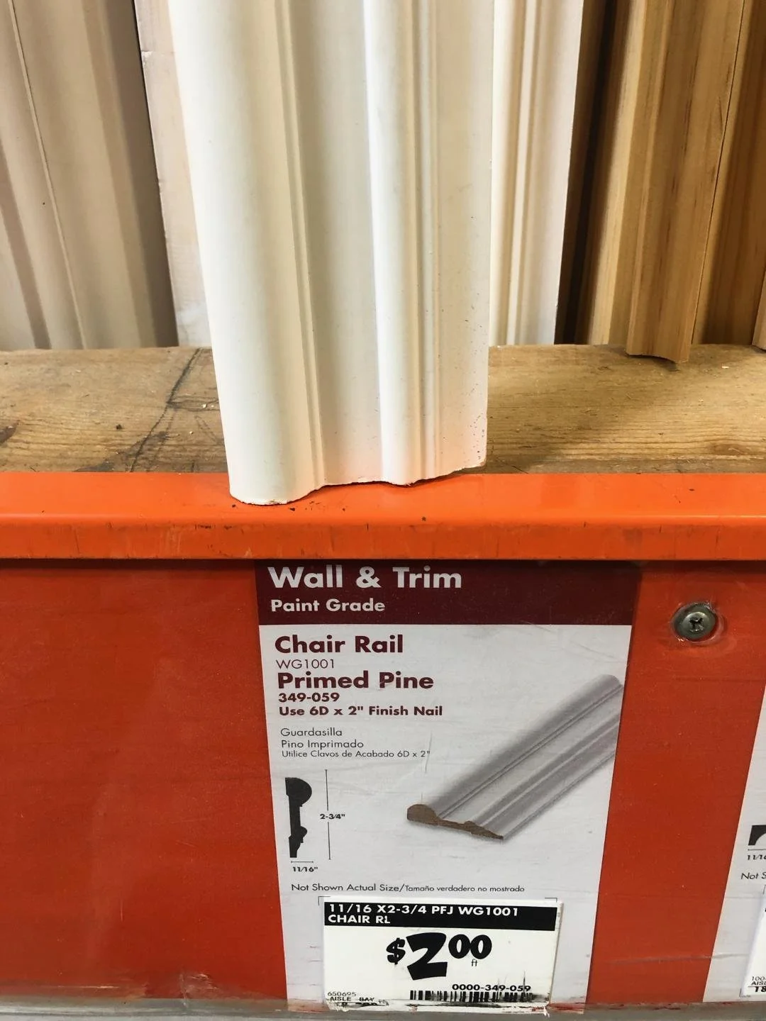 6-AGAVE PROGRESS (32).jpg