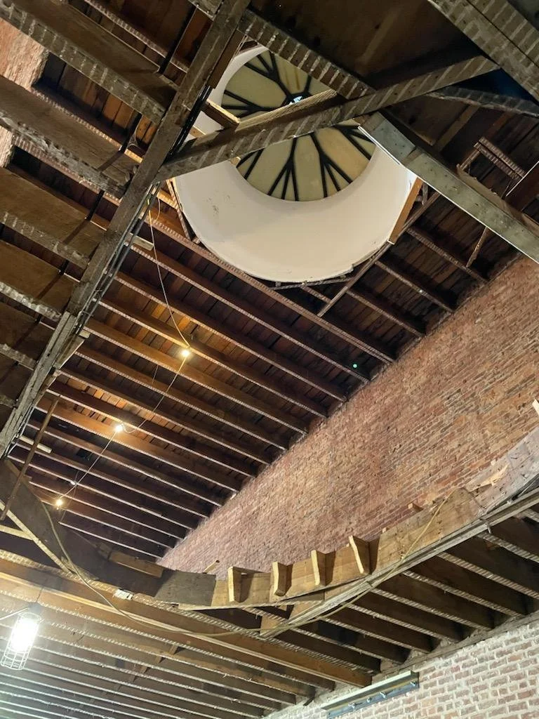 6-AGAVE PROGRESS (59).jpg