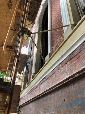 6-AGAVE PROGRESS (6).jpg