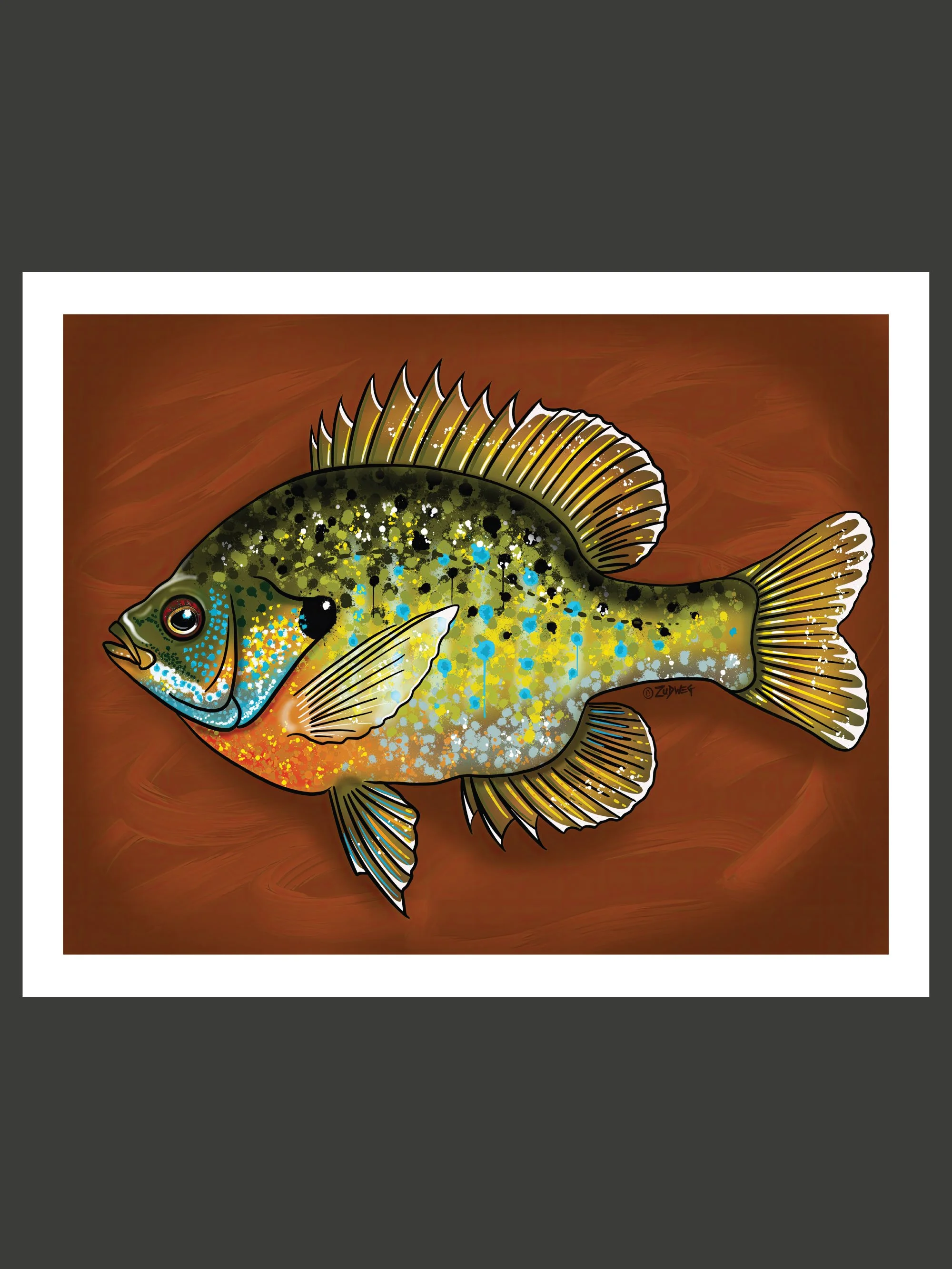 splatter-gill.jpg
