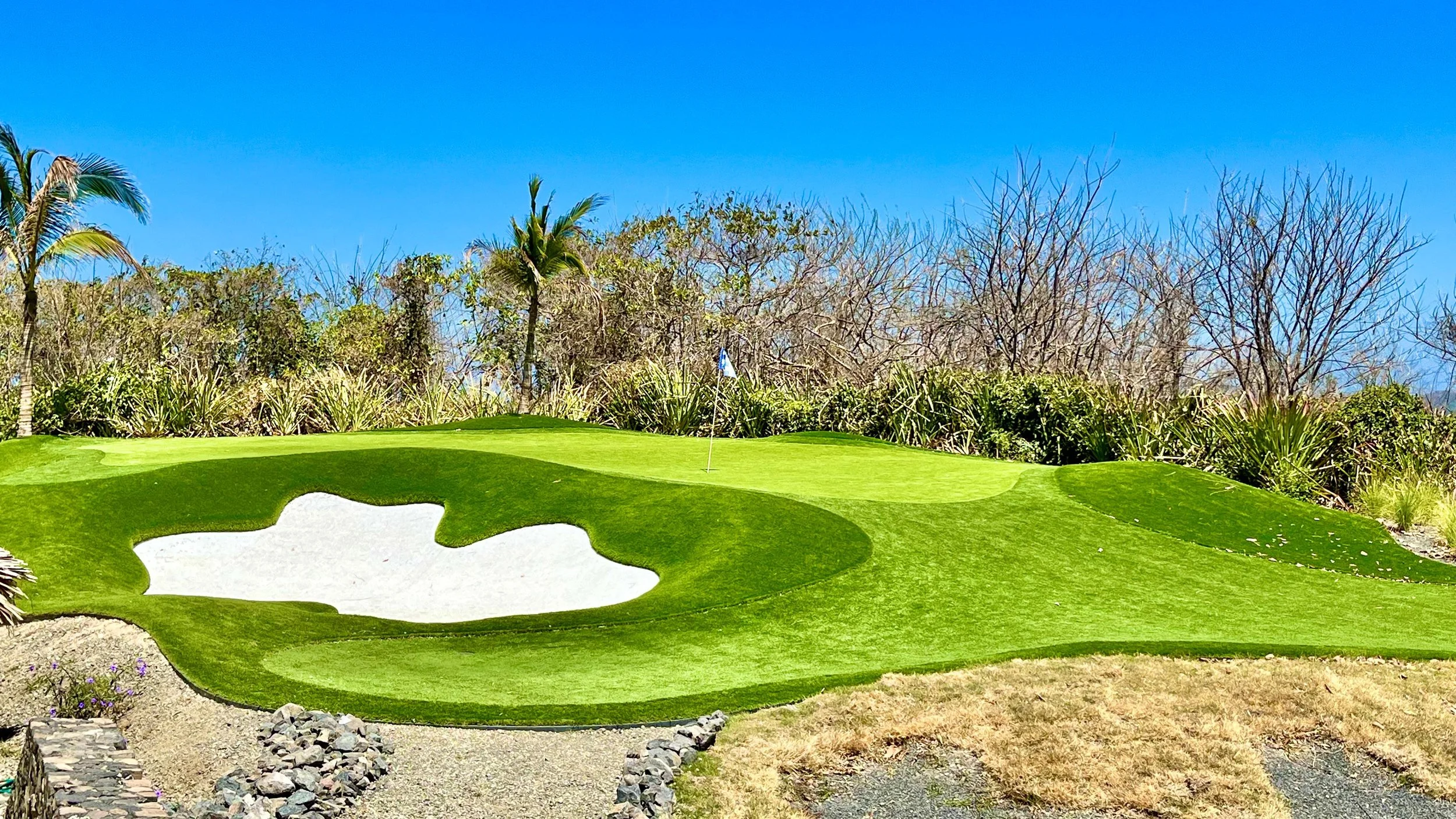 Professional Grade Artificial Grass Las Catalinas Residence.