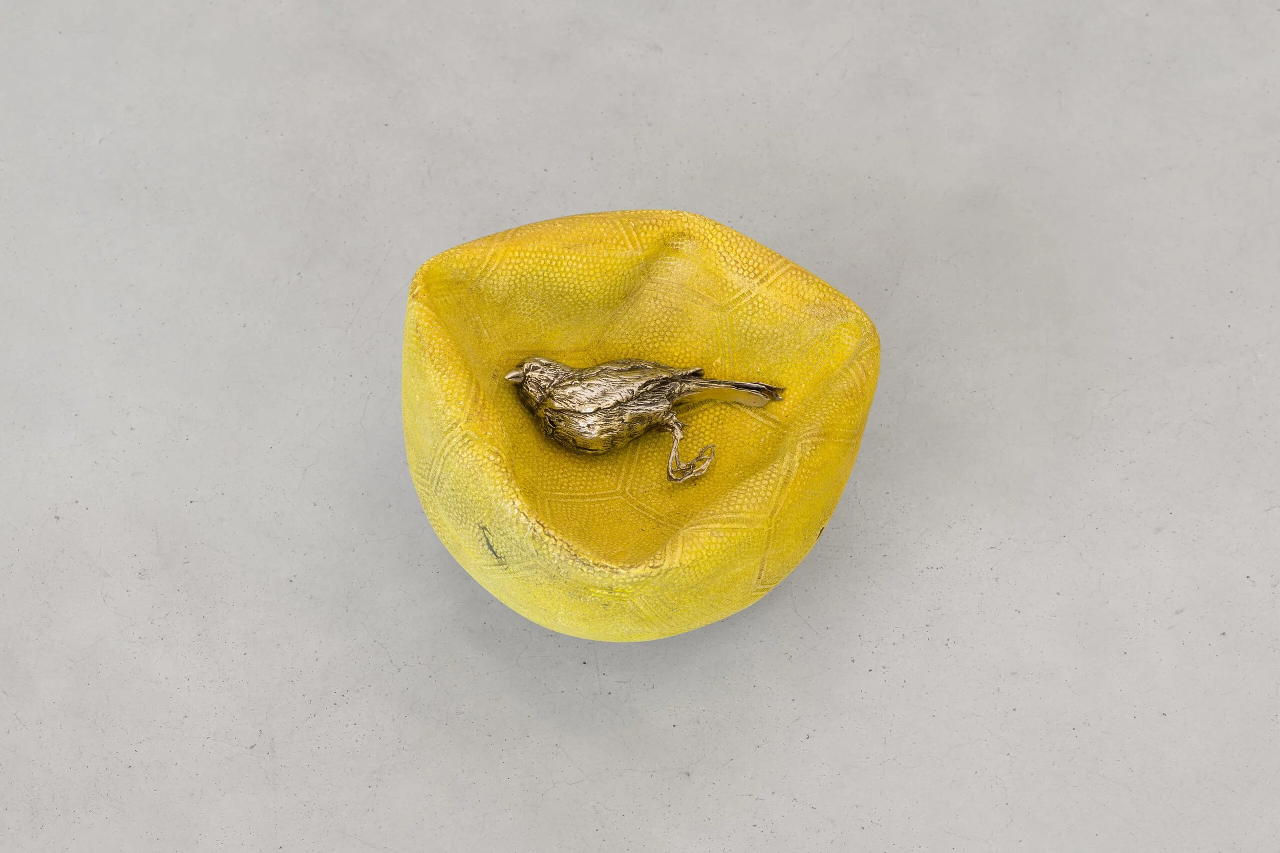 For All Gravity by Thomas Lerooy