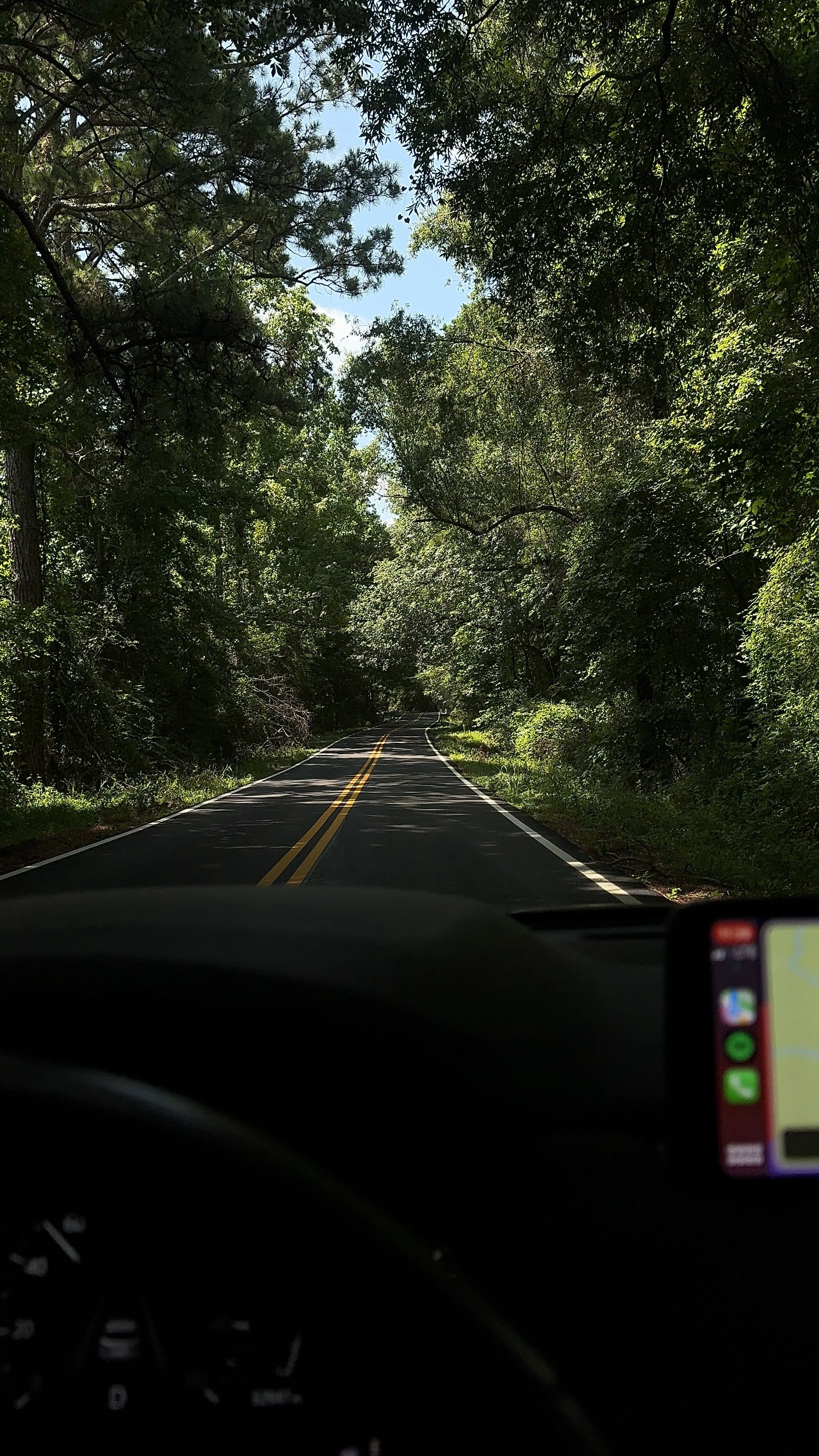 ajaila-walker -dupe (1).jpeg