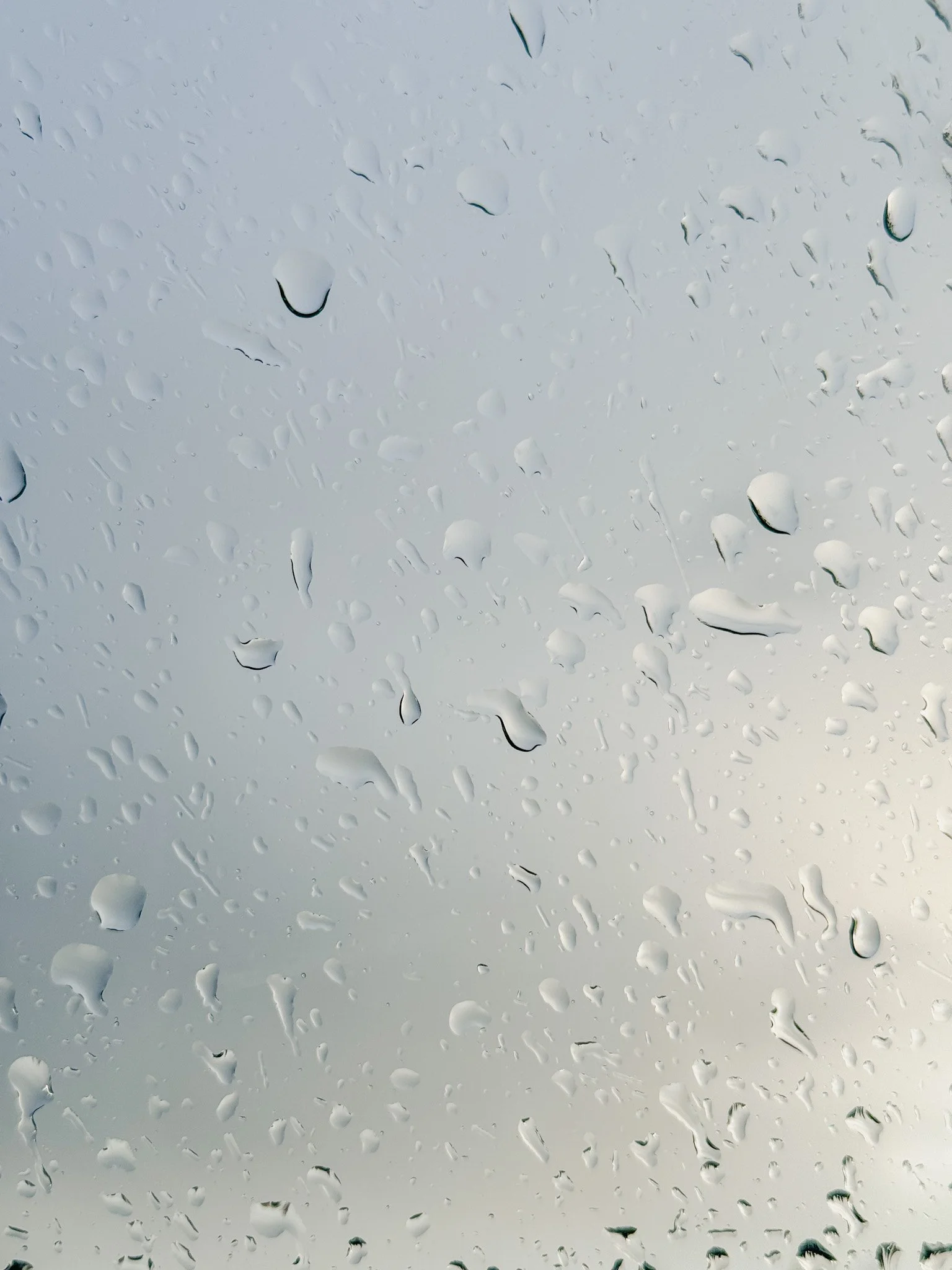 erica-smith-dupe (1).jpeg