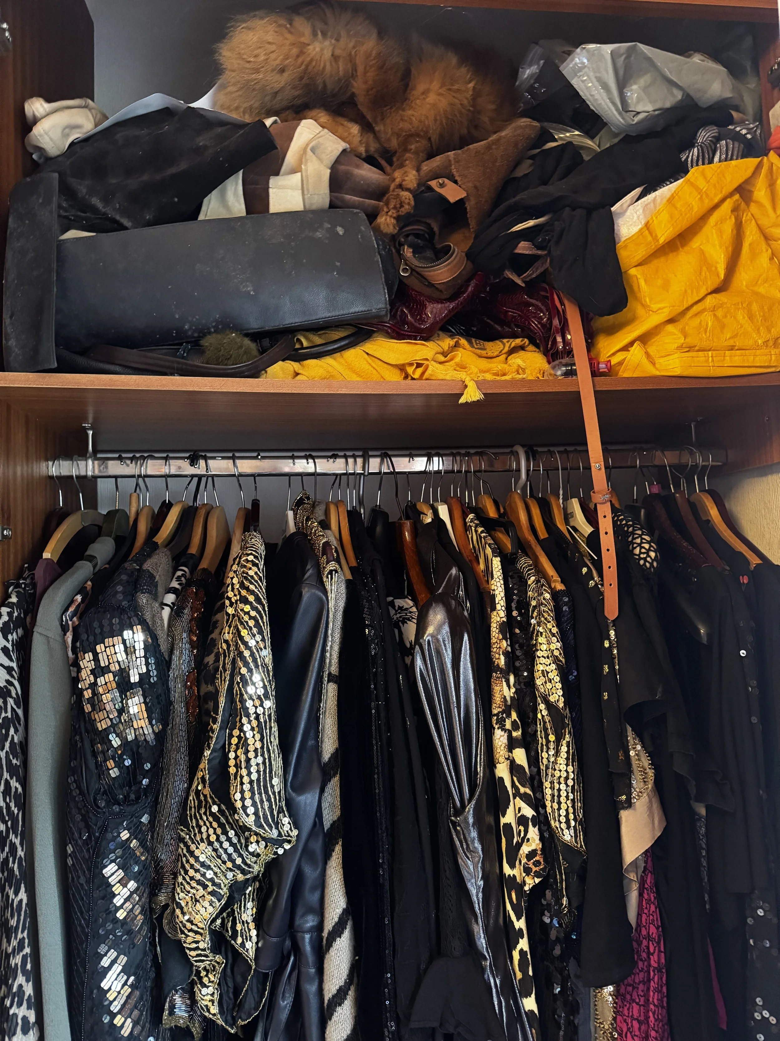 A closet with a top shelf containing clothes, bags, and a fur puffer jacket, and a hanging section below with various black, gold, and animal print dresses and jackets on wooden hangers.