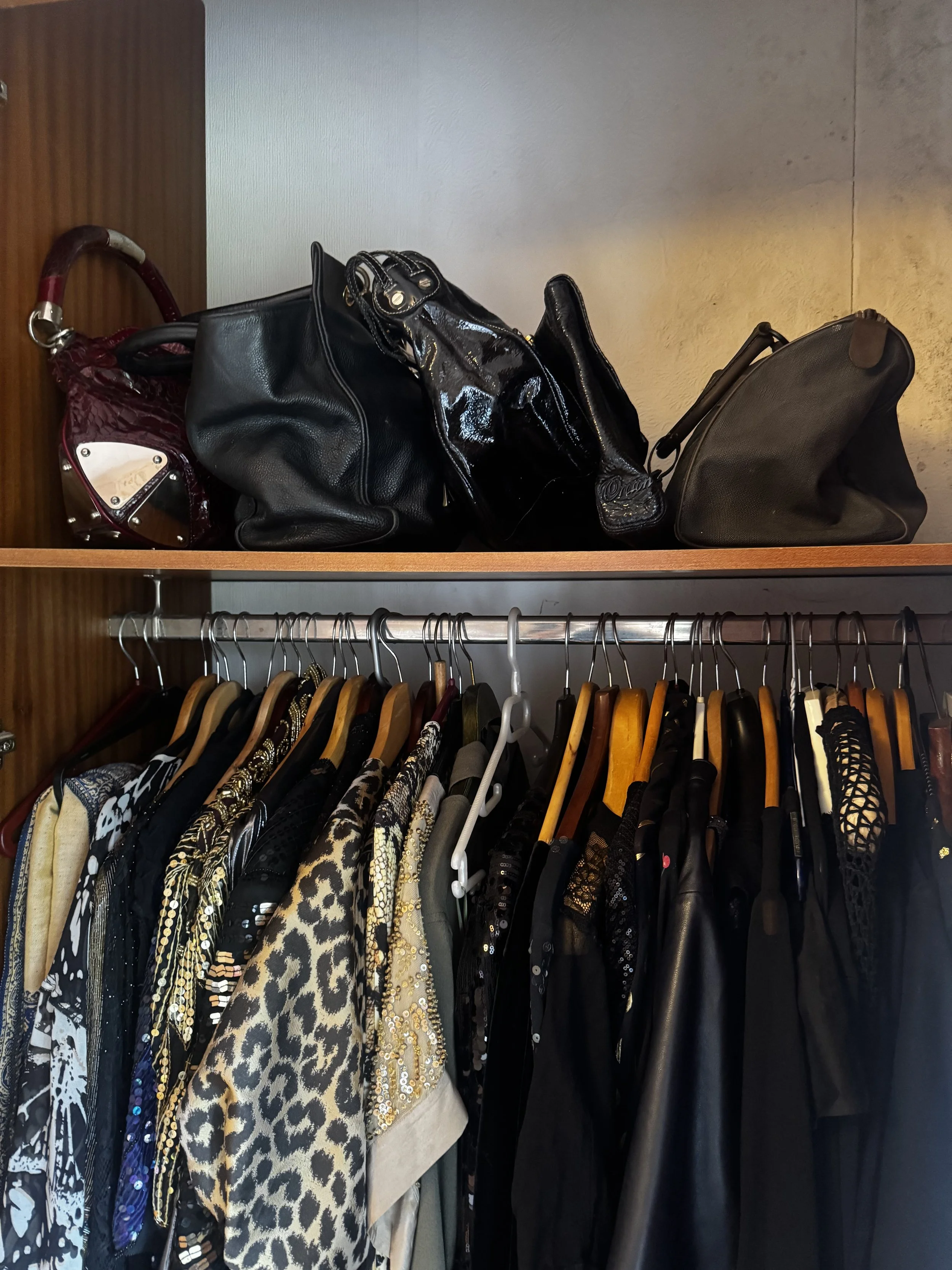 Closet with hanging clothes including animal print, black, and patterned garments, and a shelf with black and burgundy handbags.