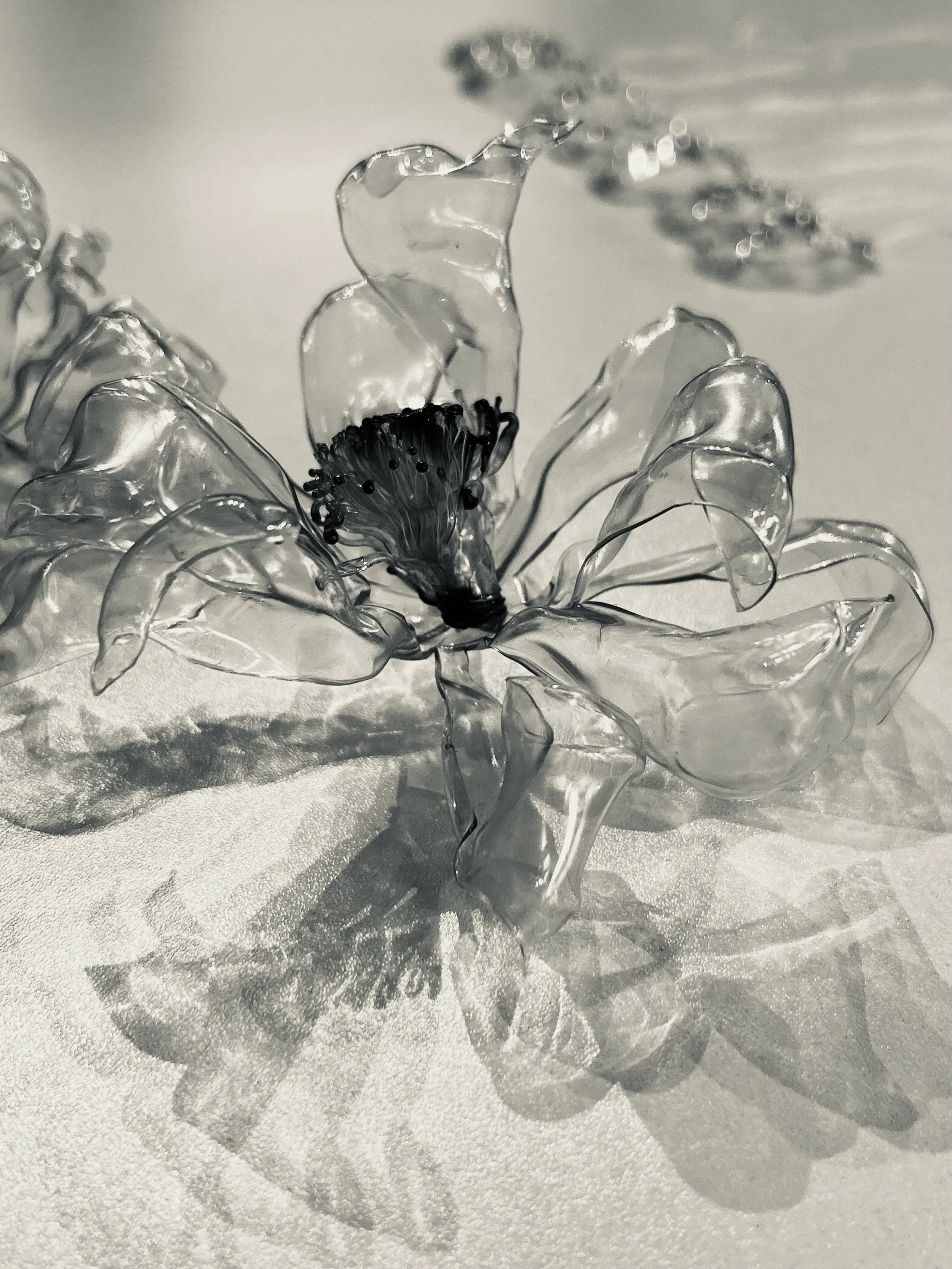 A glass flower sculpture with delicate petals and a dark center, casting shadows on a textured surface.
