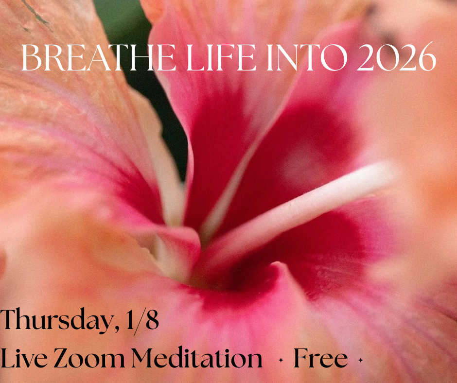 Close-up of pink and peach flower with white text overlay promoting a live Zoom meditation event on January 8, 2026, encouraging to breathe life into the new year, free event.