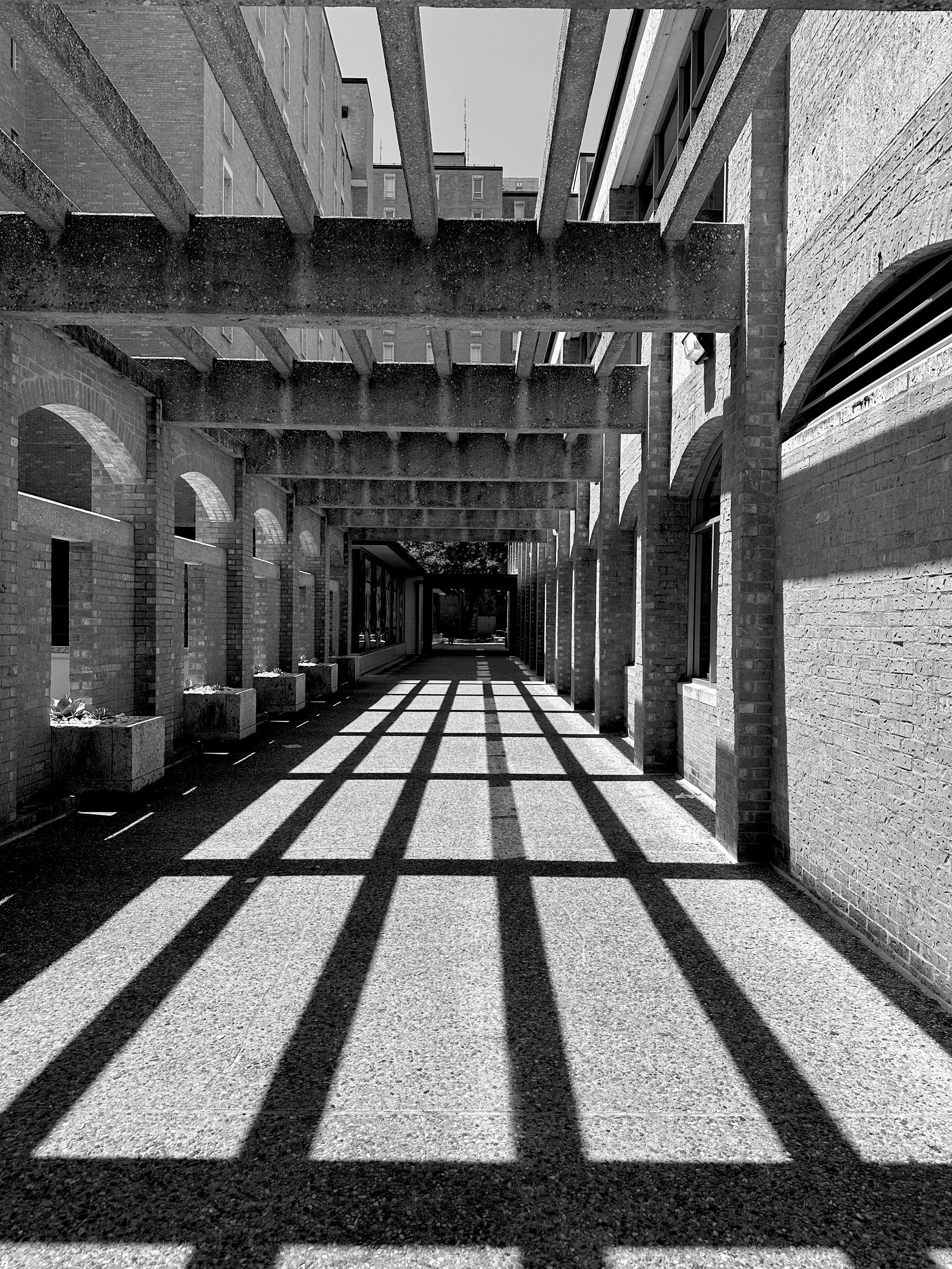 Marie Boyd | Pathways | Grid