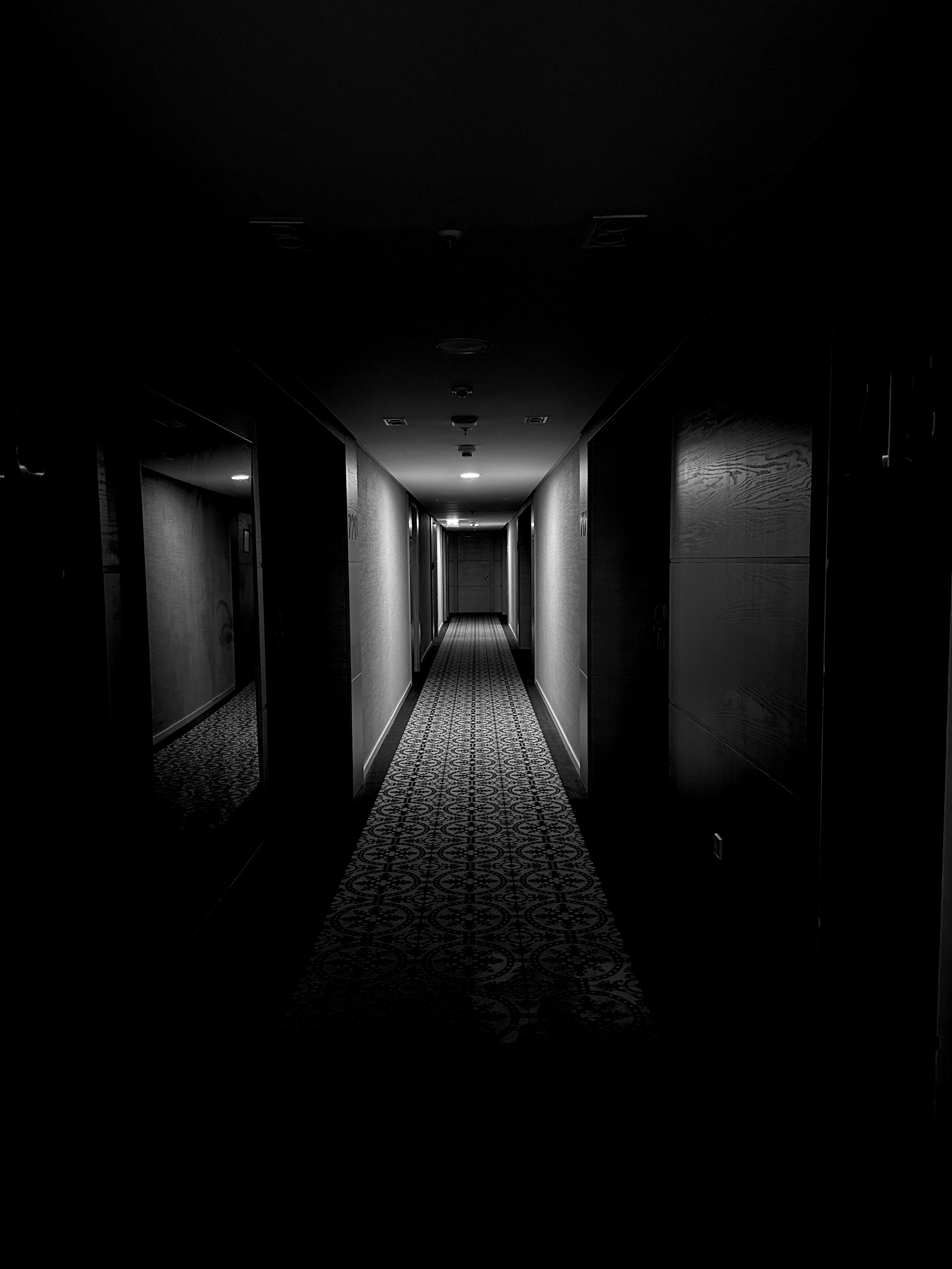 Marie Boyd | Pathways | Nocturne