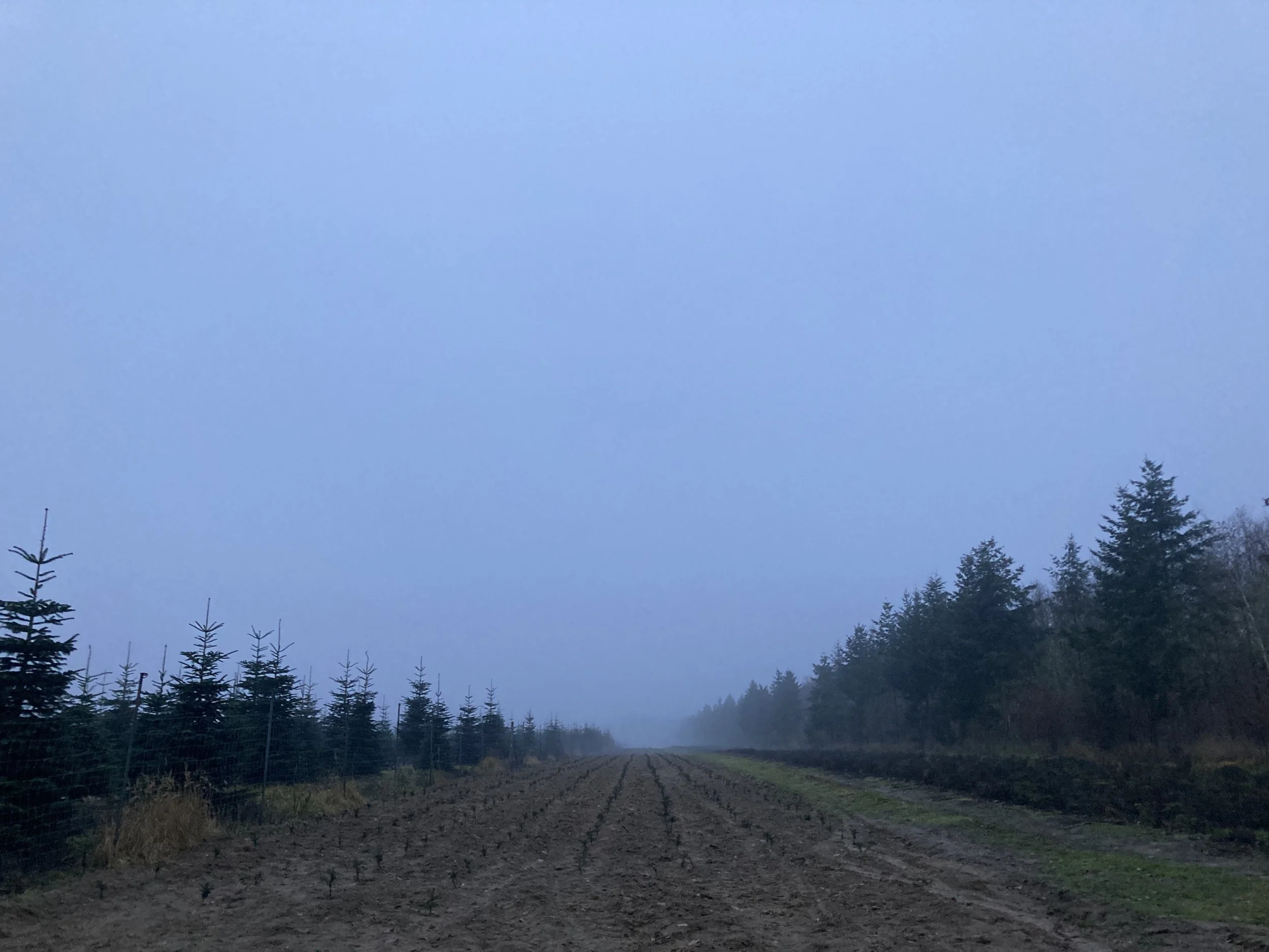 Marie Boyd | Pathways | Maerchen