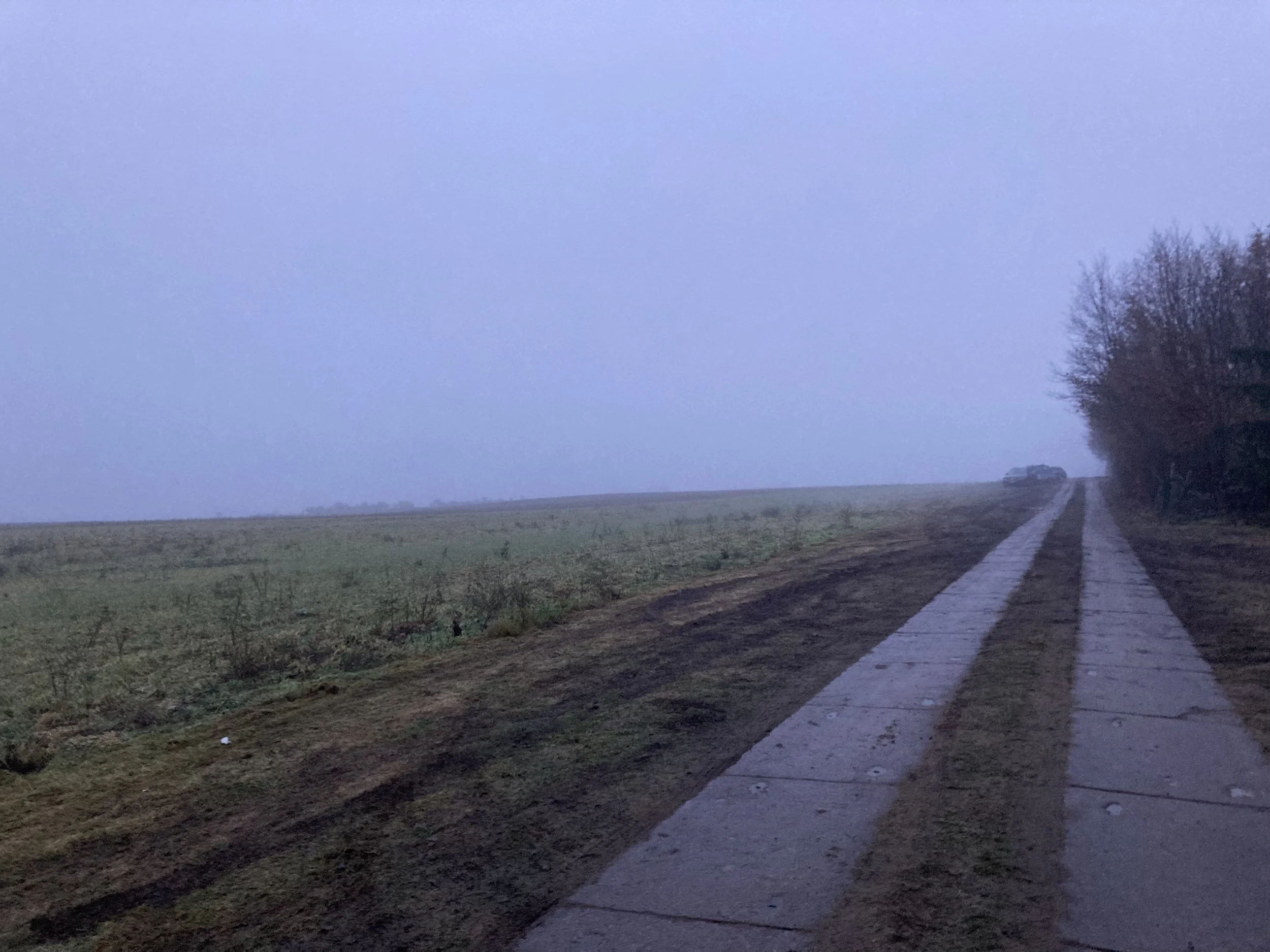 Marie Boyd | Pathways | Loose Ends